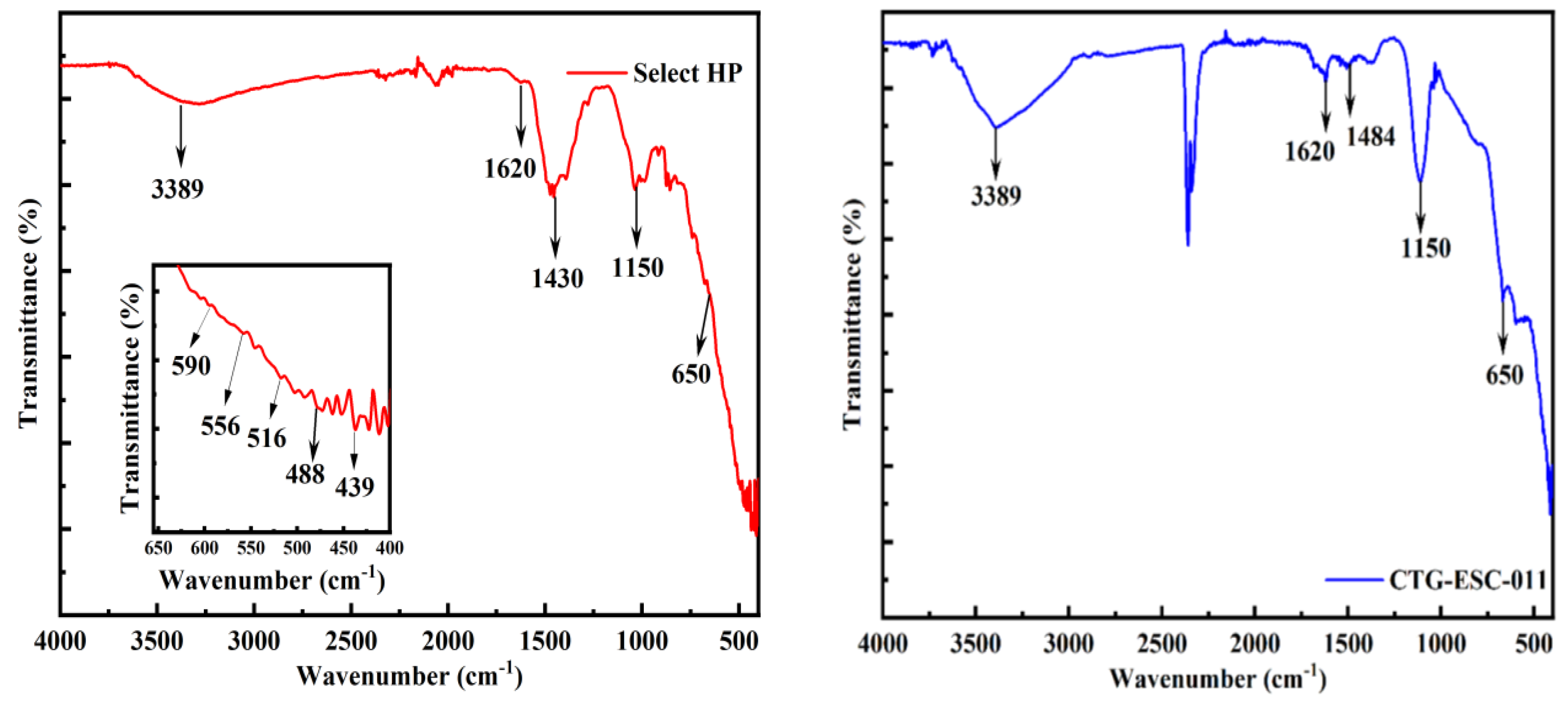 Catalysts 14 00907 g001
