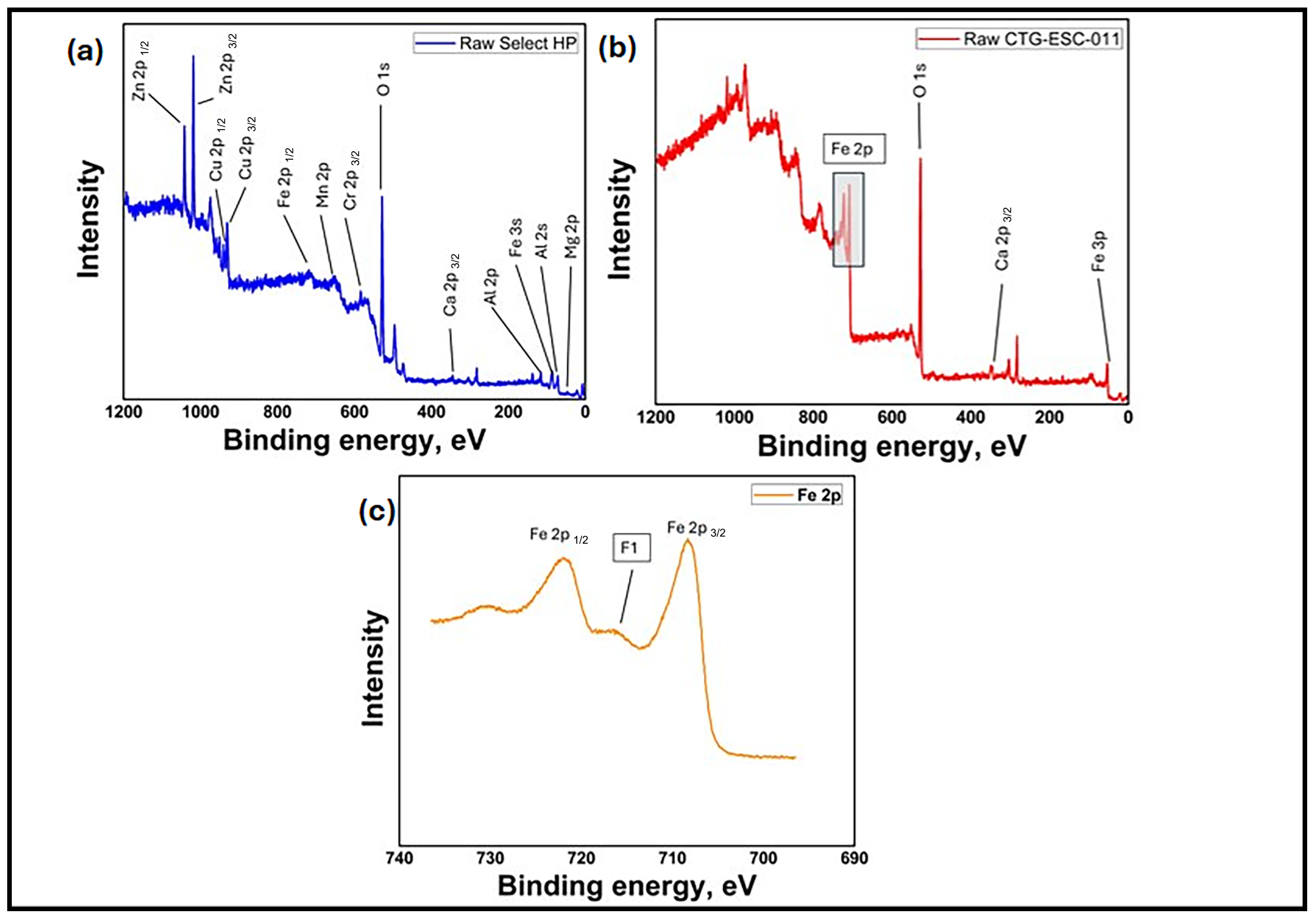 Catalysts 14 00907 g003