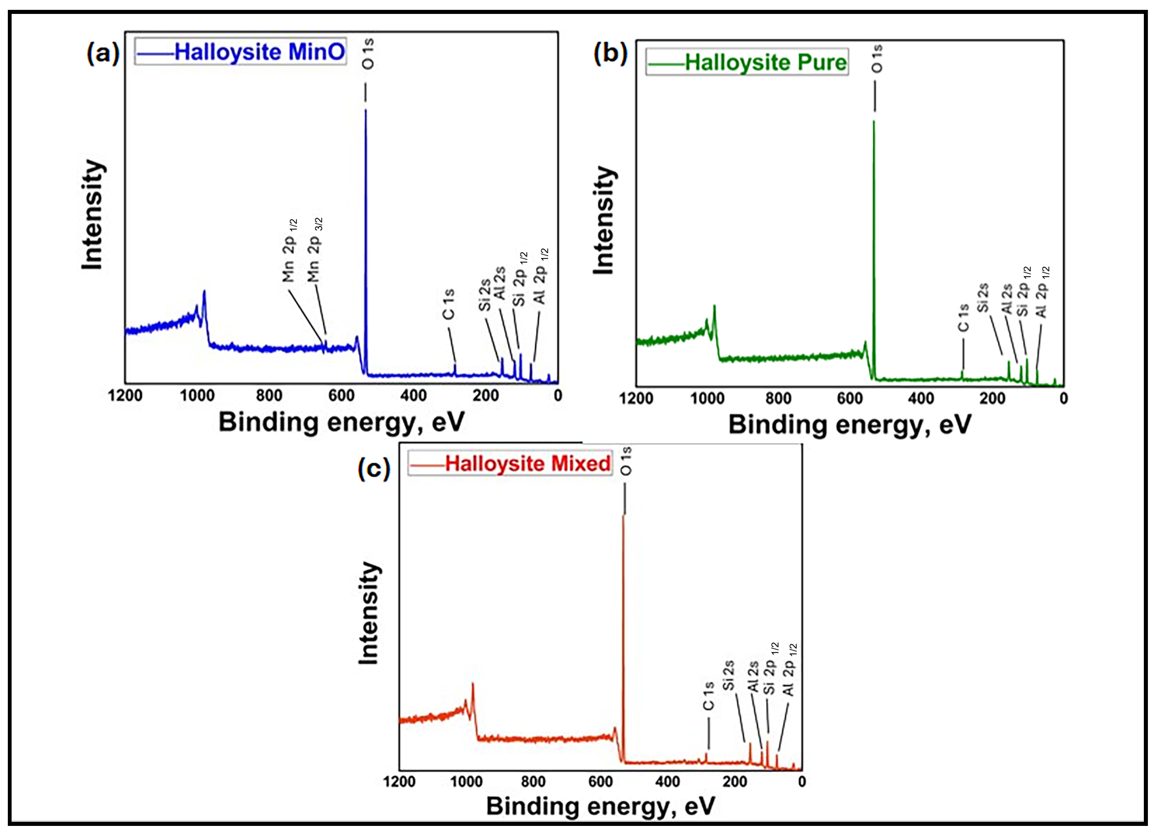 Catalysts 14 00907 g004