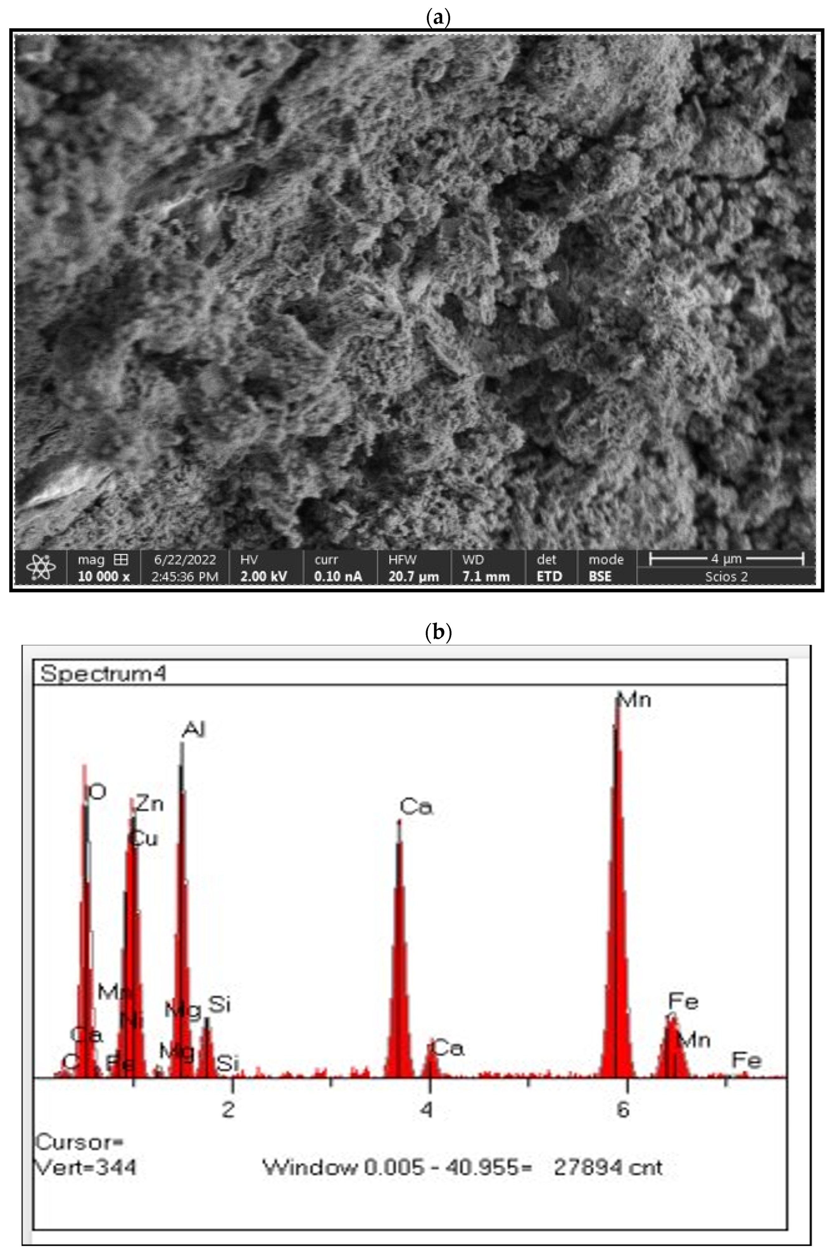 Catalysts 14 00907 g015a