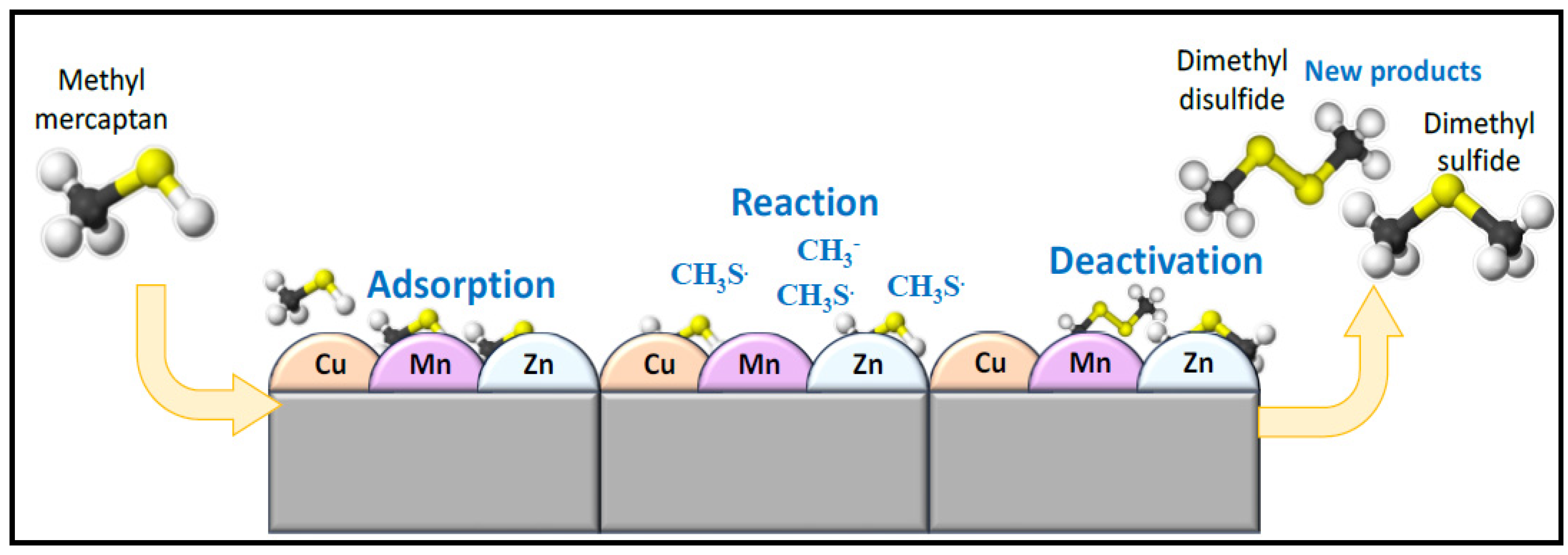 Catalysts 14 00907 g019