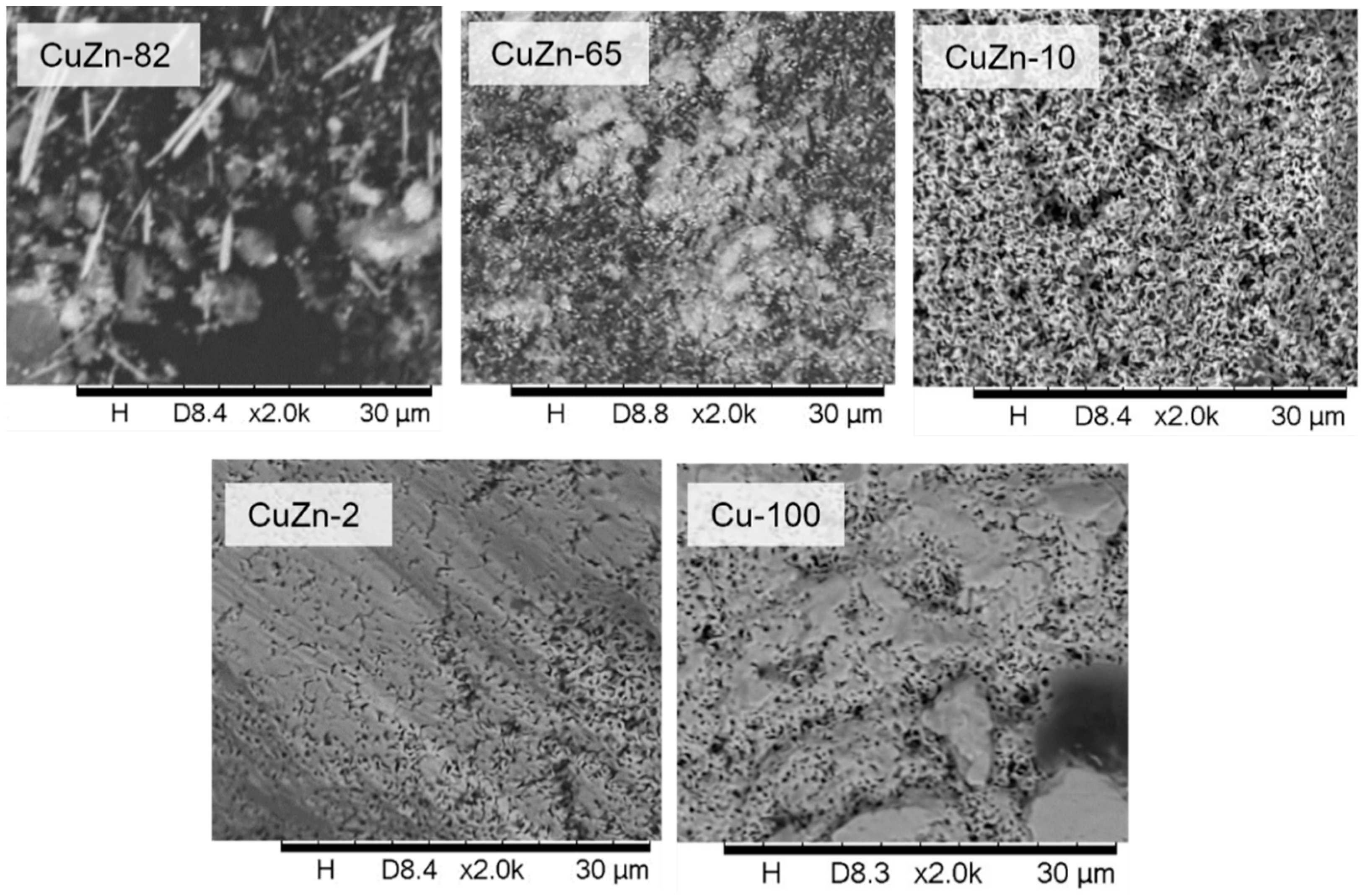 Catalysts 14 00908 g004