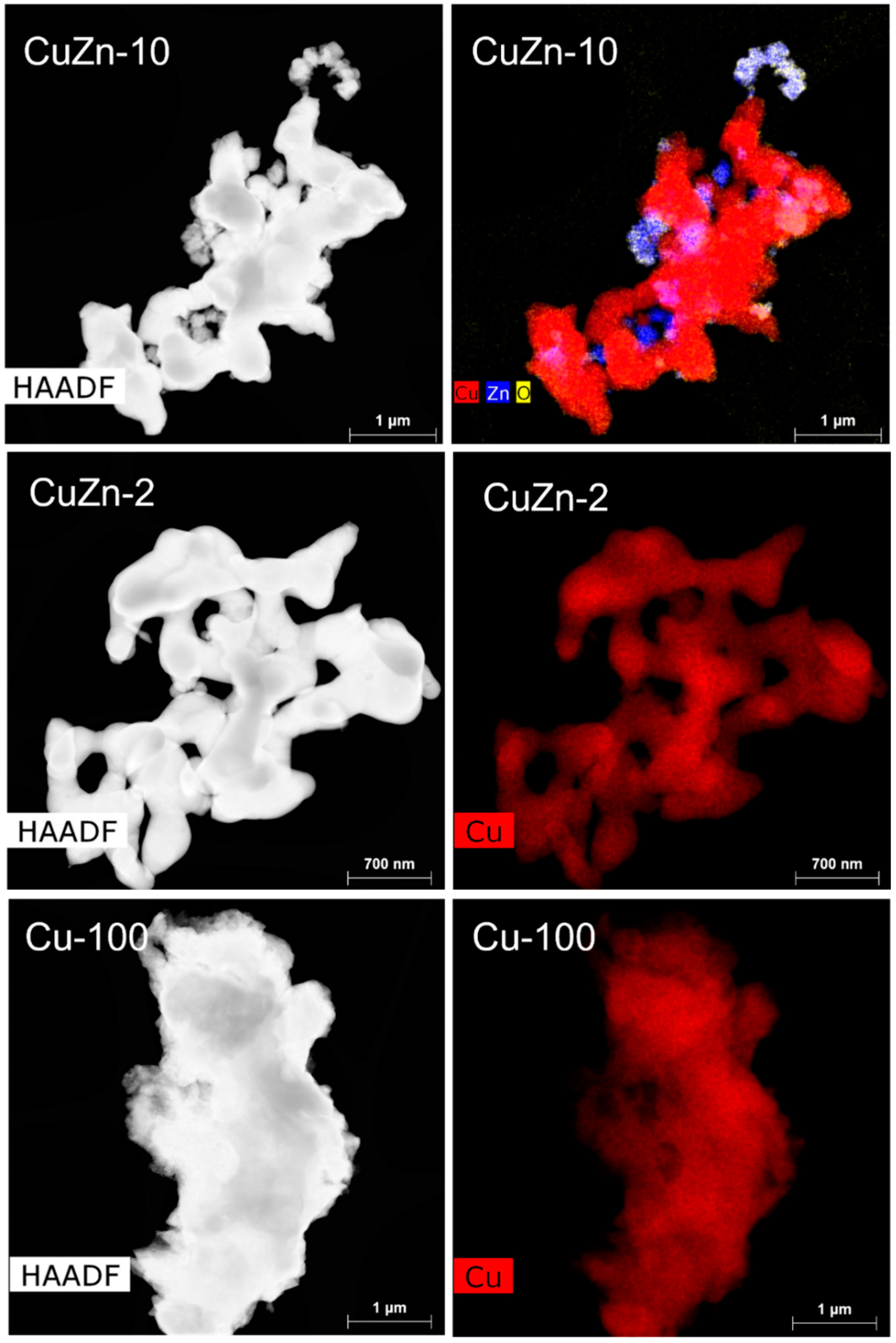 Catalysts 14 00908 g005