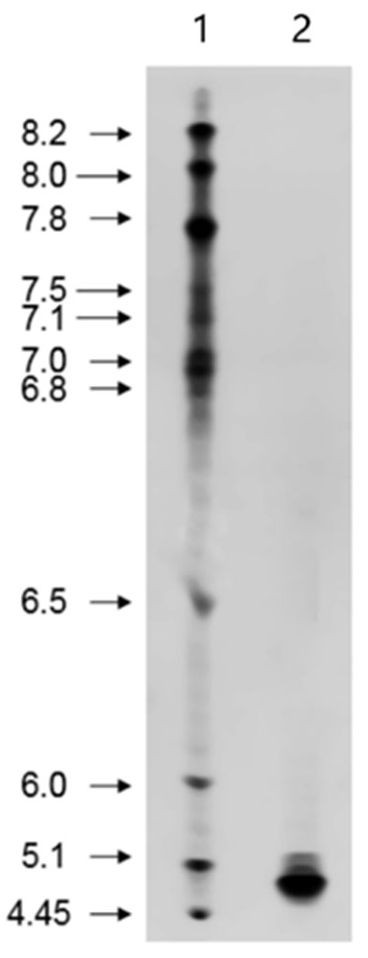 Catalysts 14 00909 g004