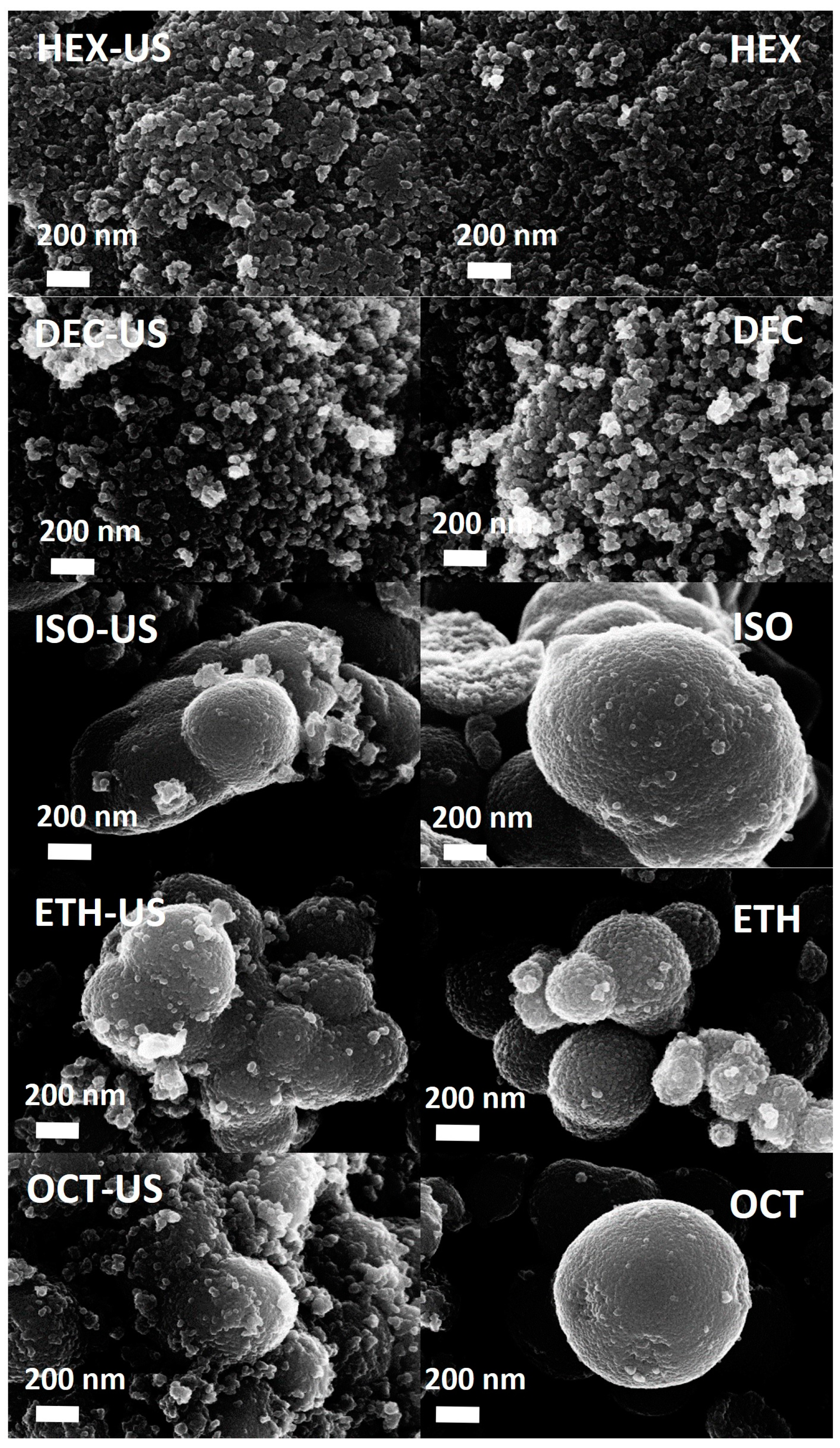 Catalysts 14 00910 g001