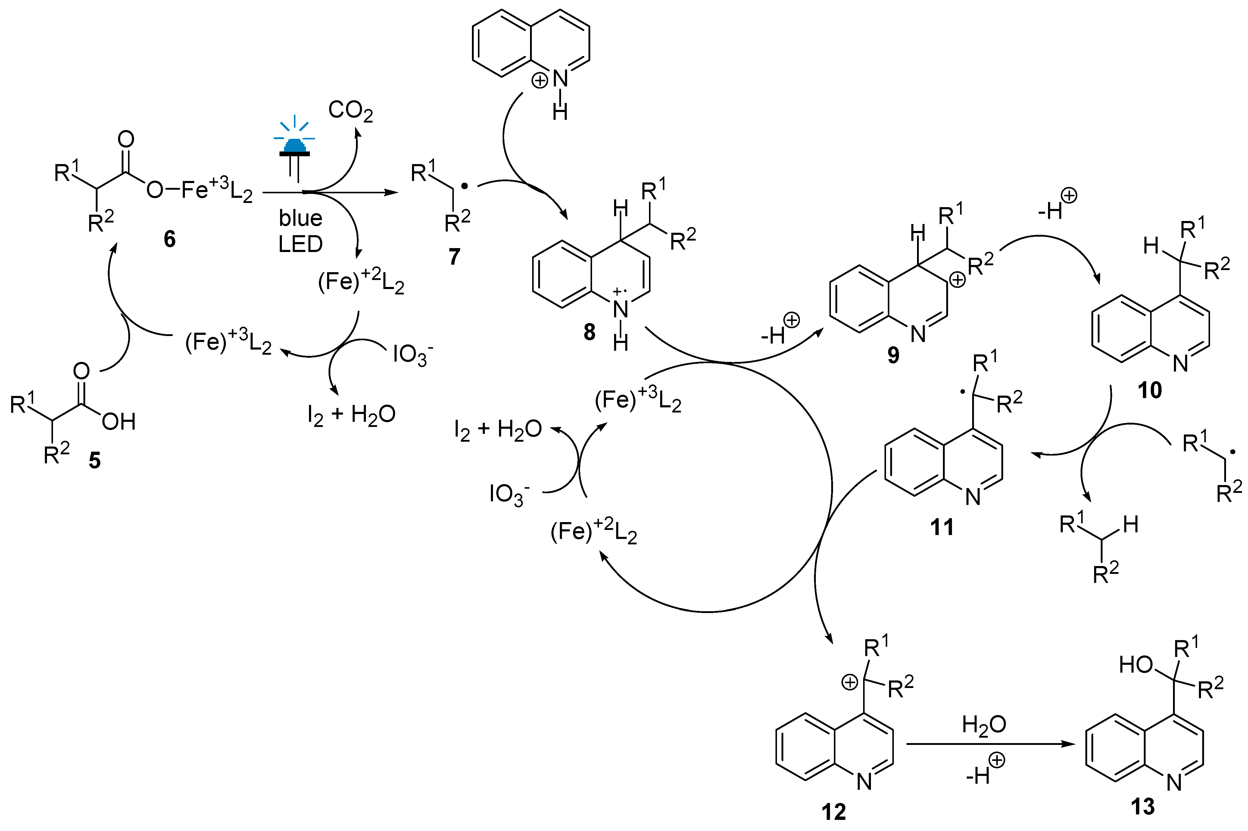 Catalysts 14 00916 sch003