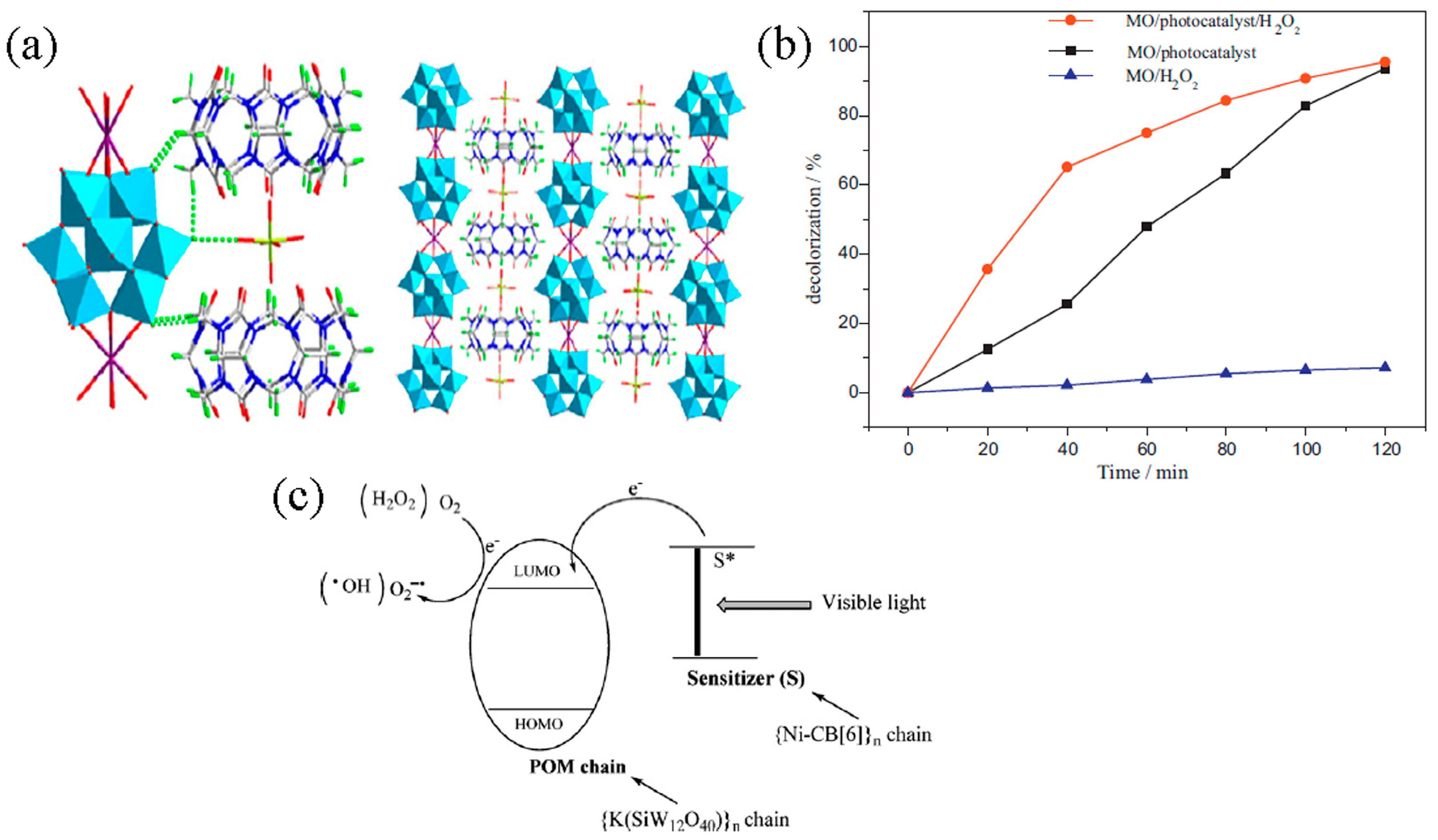 Catalysts 14 00917 g005