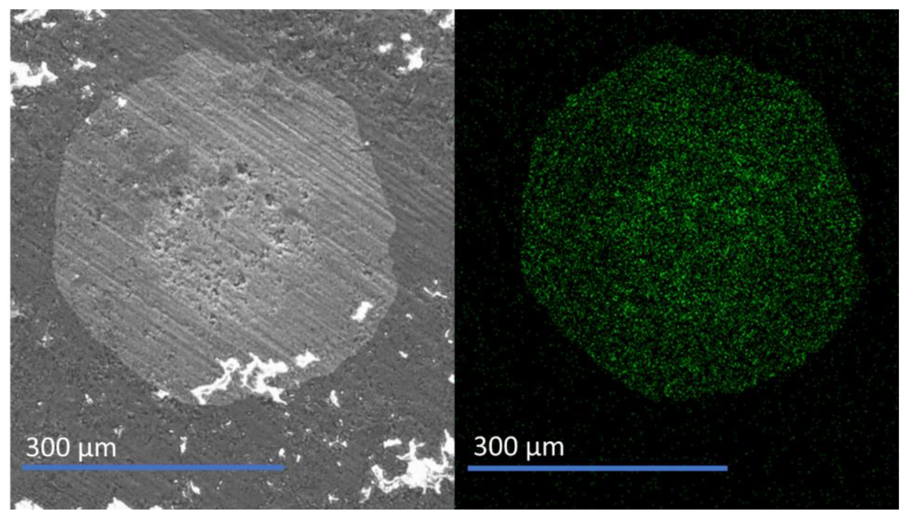 Catalysts 14 00920 g001