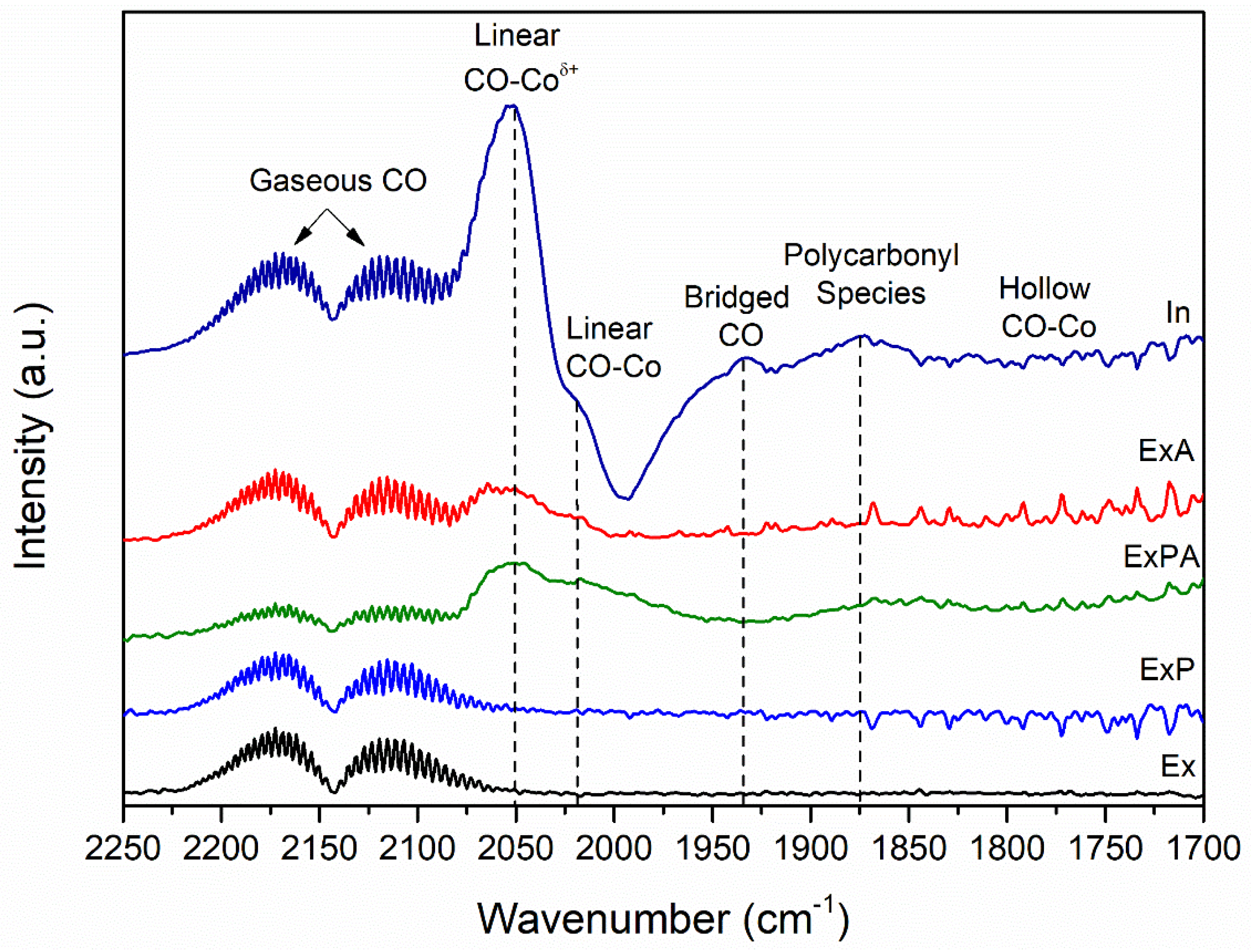 Catalysts 14 00920 g005