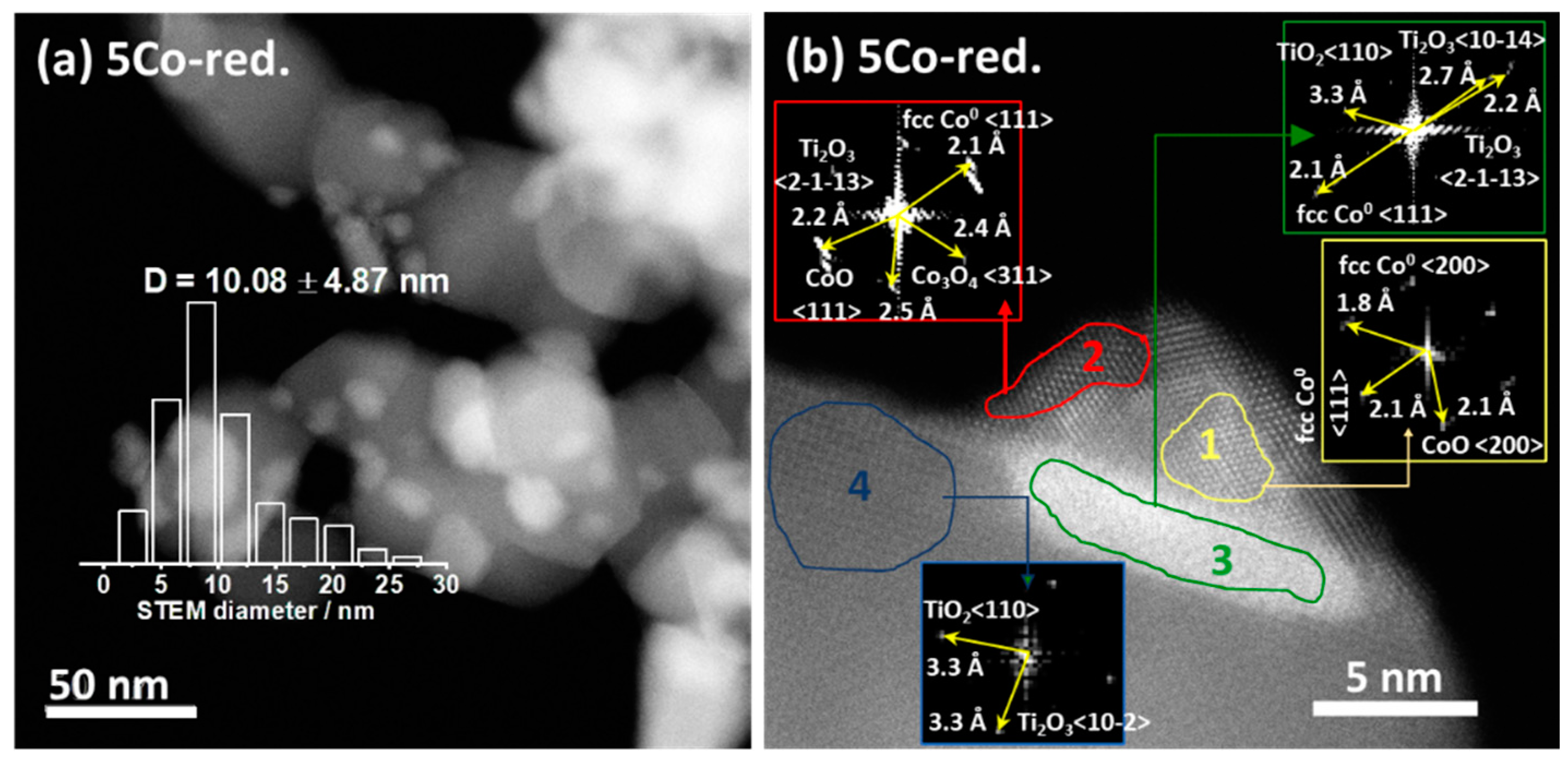Catalysts 14 00922 g002a