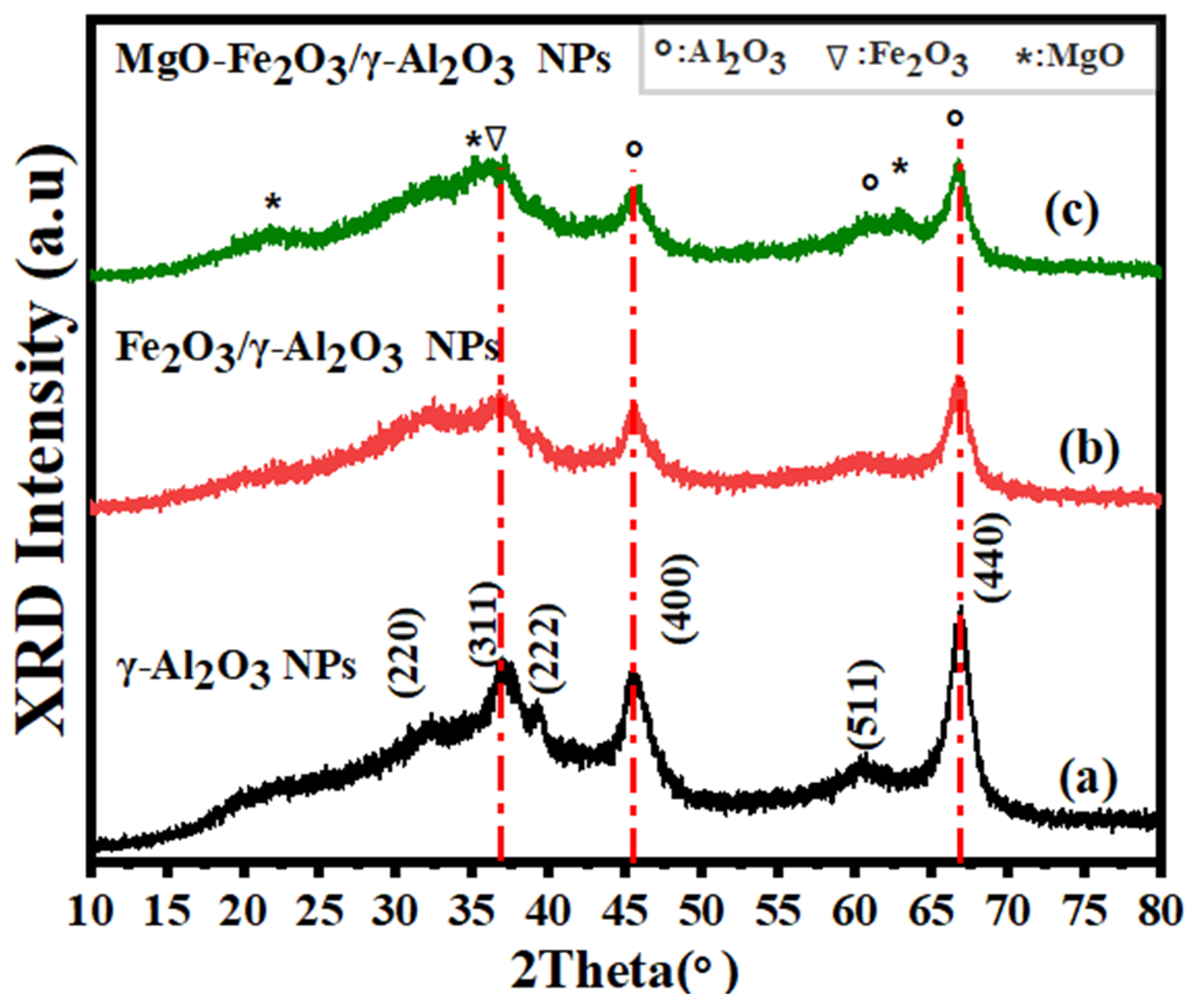 Catalysts 14 00923 g001
