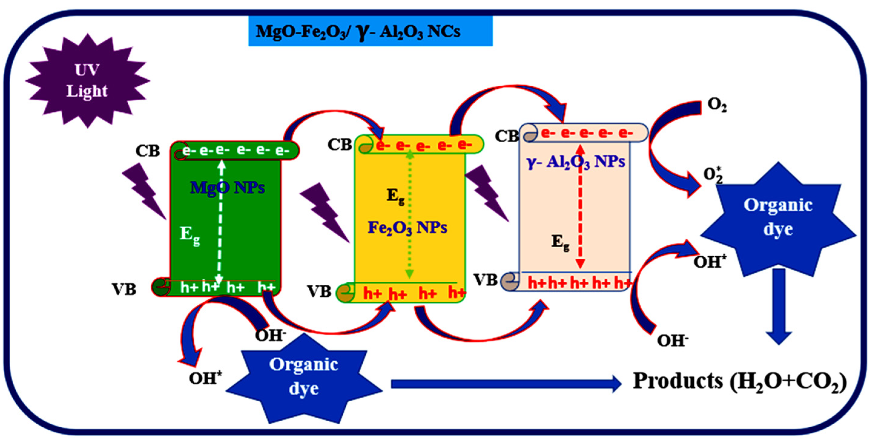Catalysts 14 00923 g011