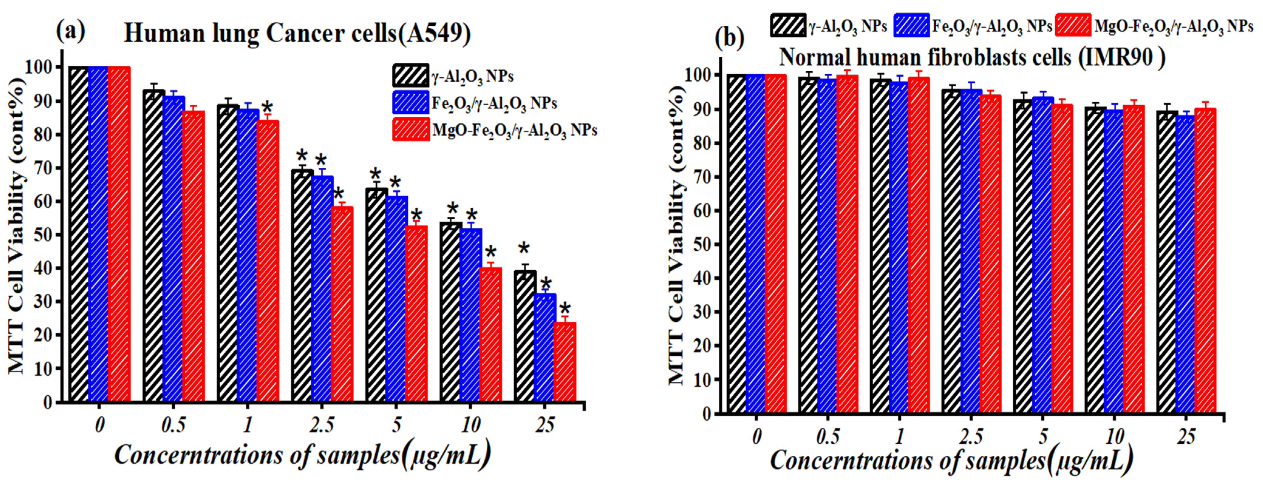 Catalysts 14 00923 g012