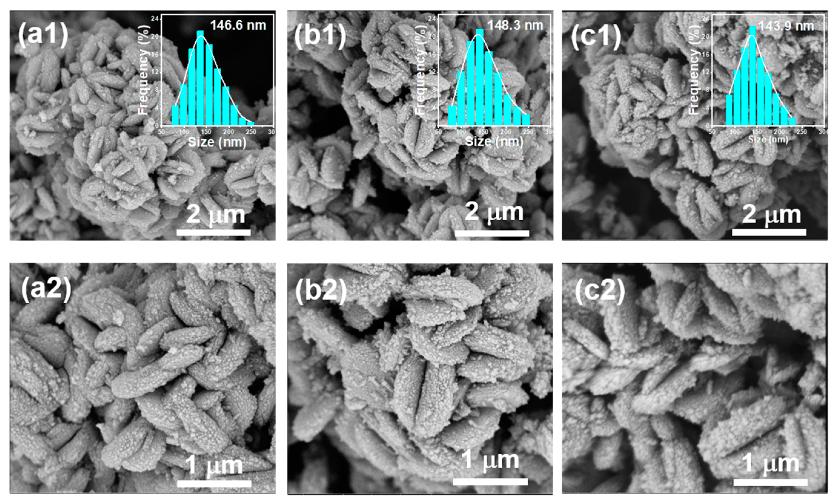 Catalysts 14 00925 g002