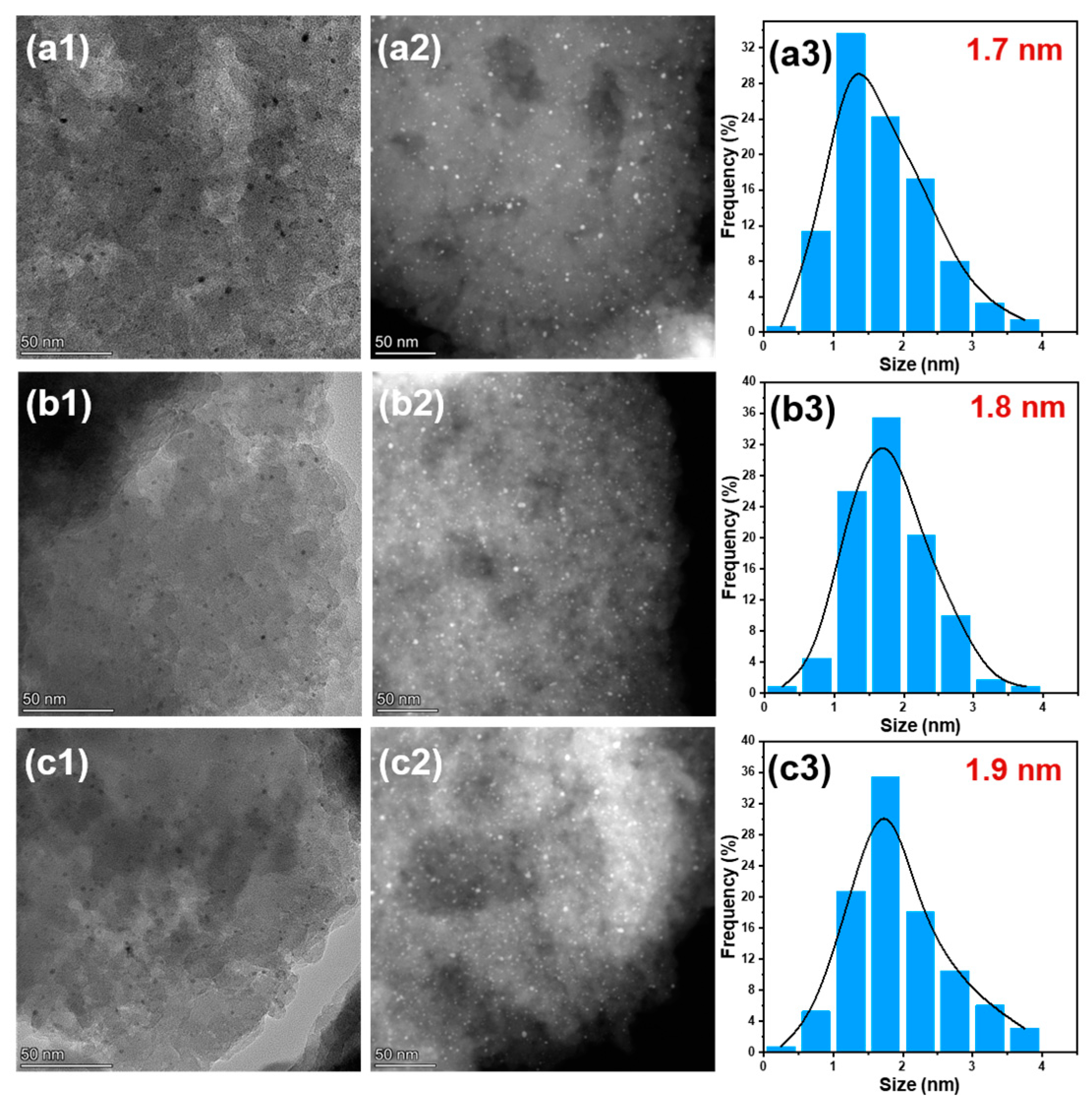 Catalysts 14 00925 g010