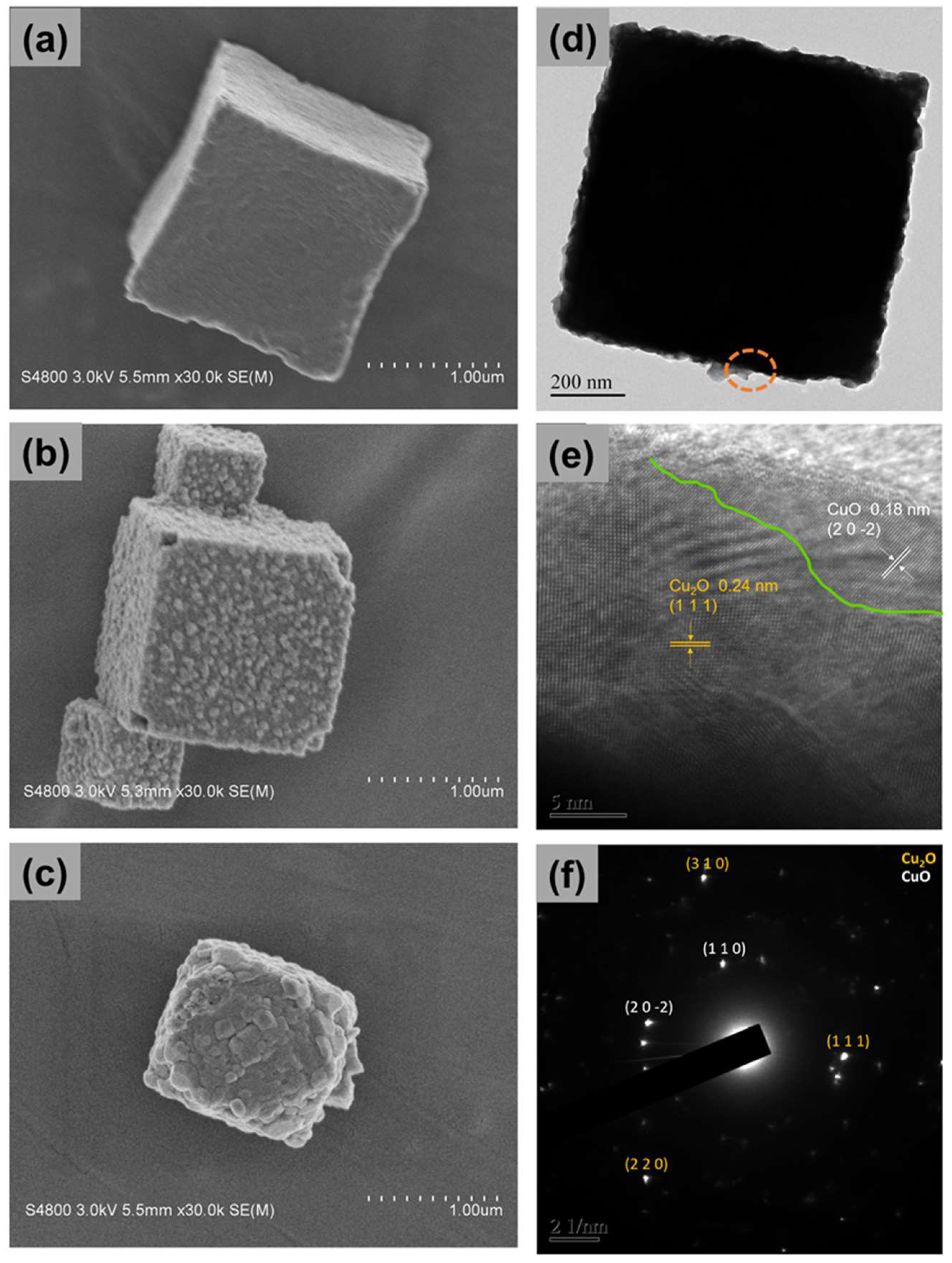 Catalysts 14 00926 g002