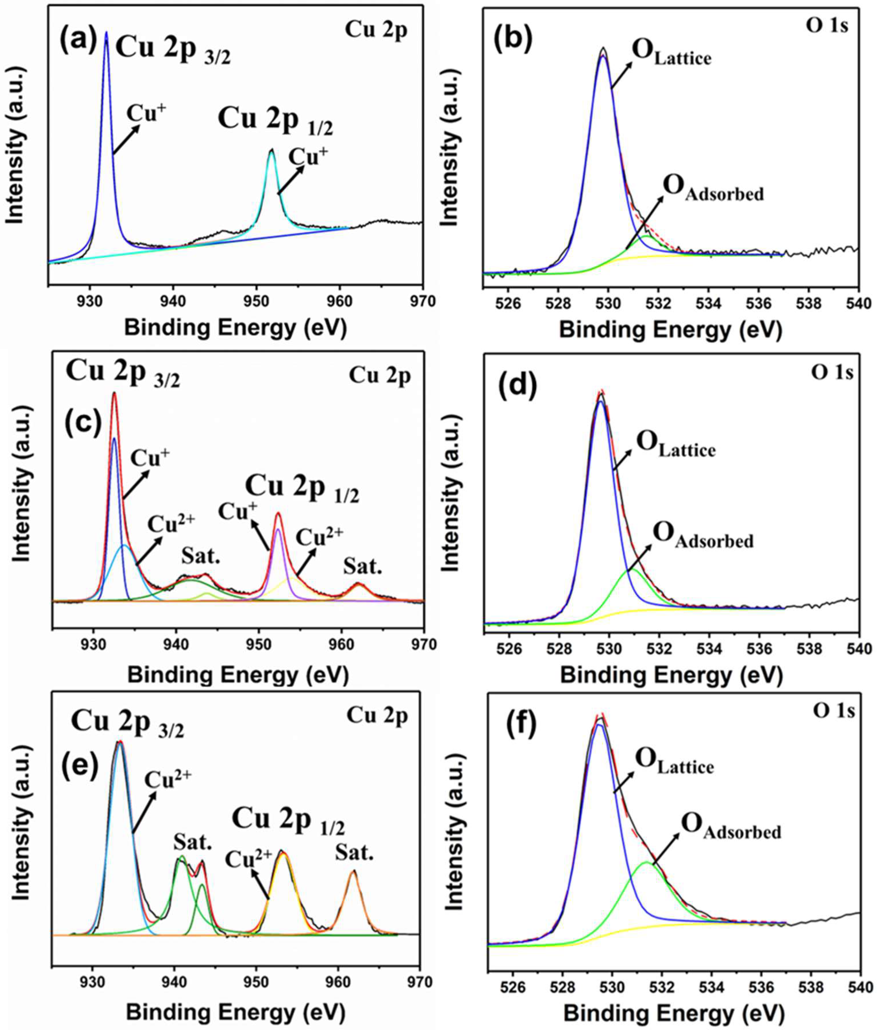 Catalysts 14 00926 g004