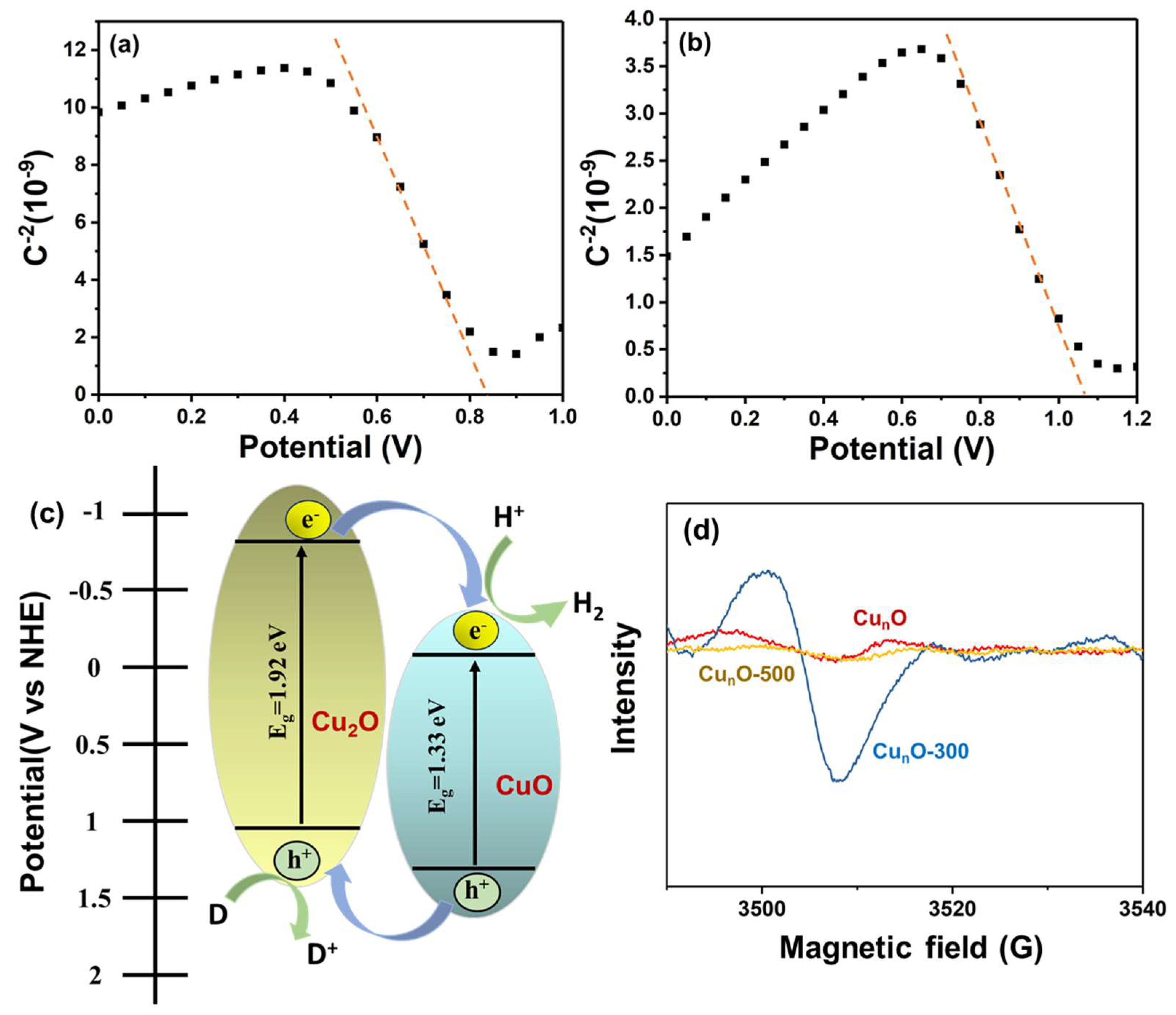 Catalysts 14 00926 g006