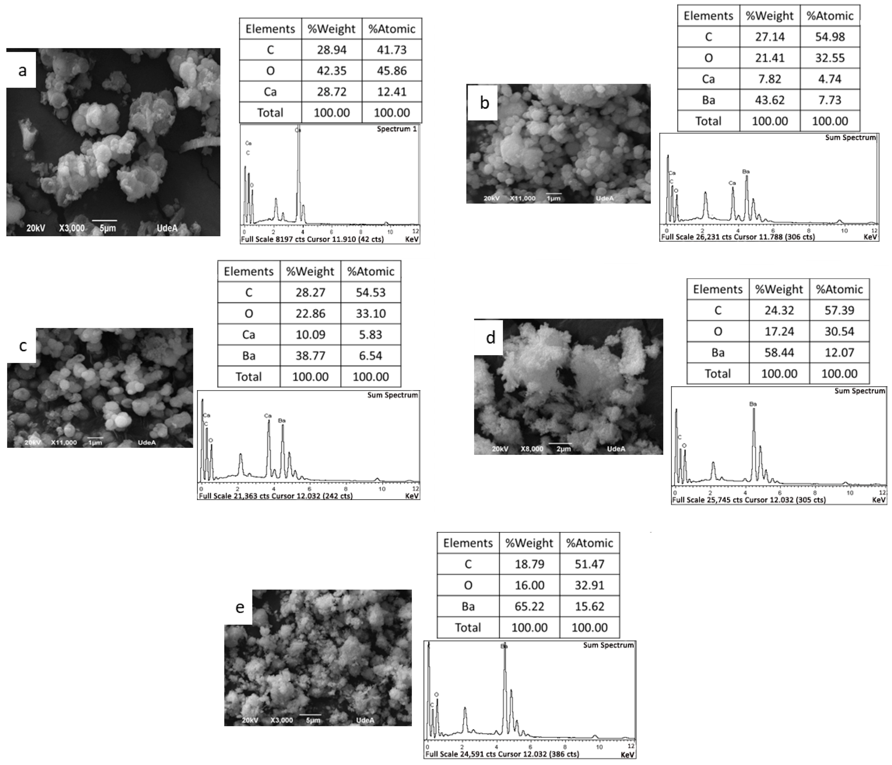 Catalysts 14 00927 g005