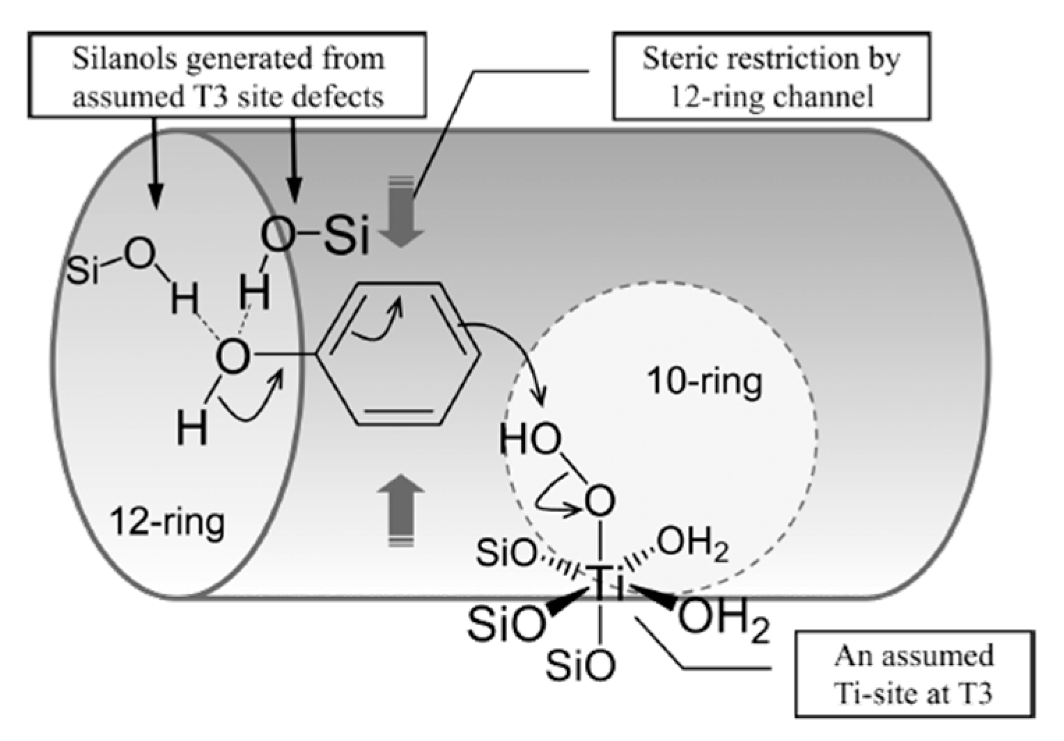 Catalysts 14 00930 g006