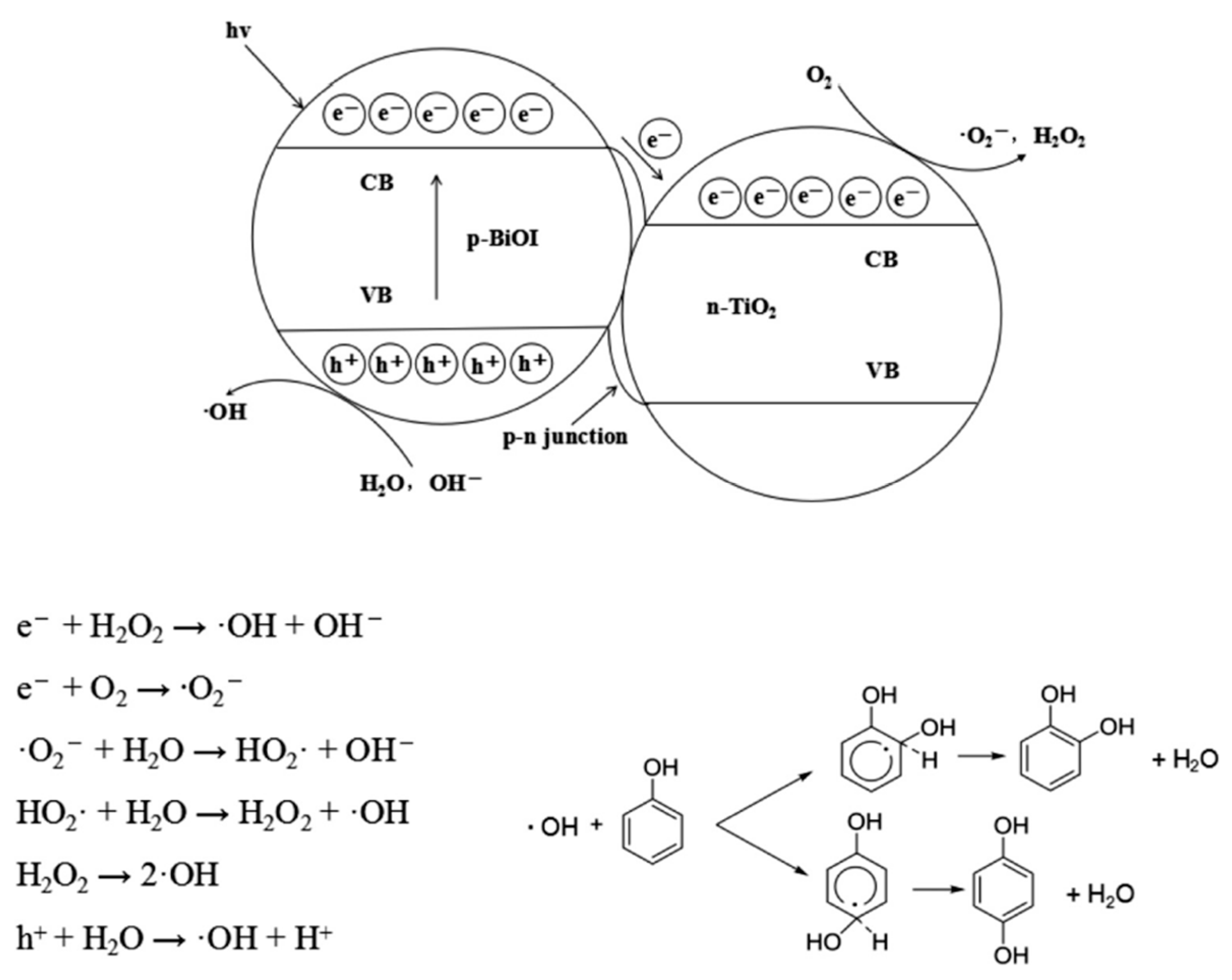 Catalysts 14 00930 g008