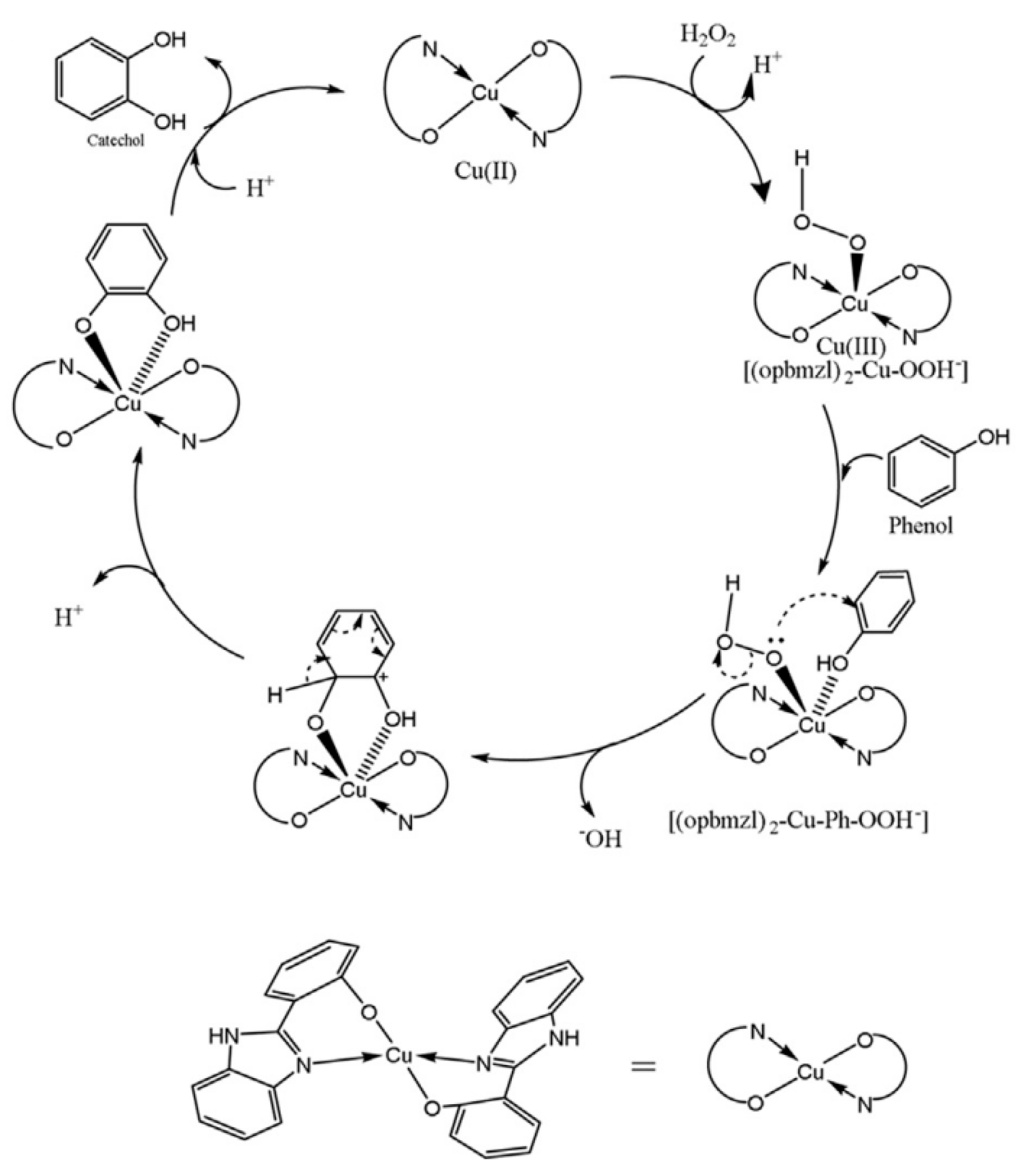 Catalysts 14 00930 sch004