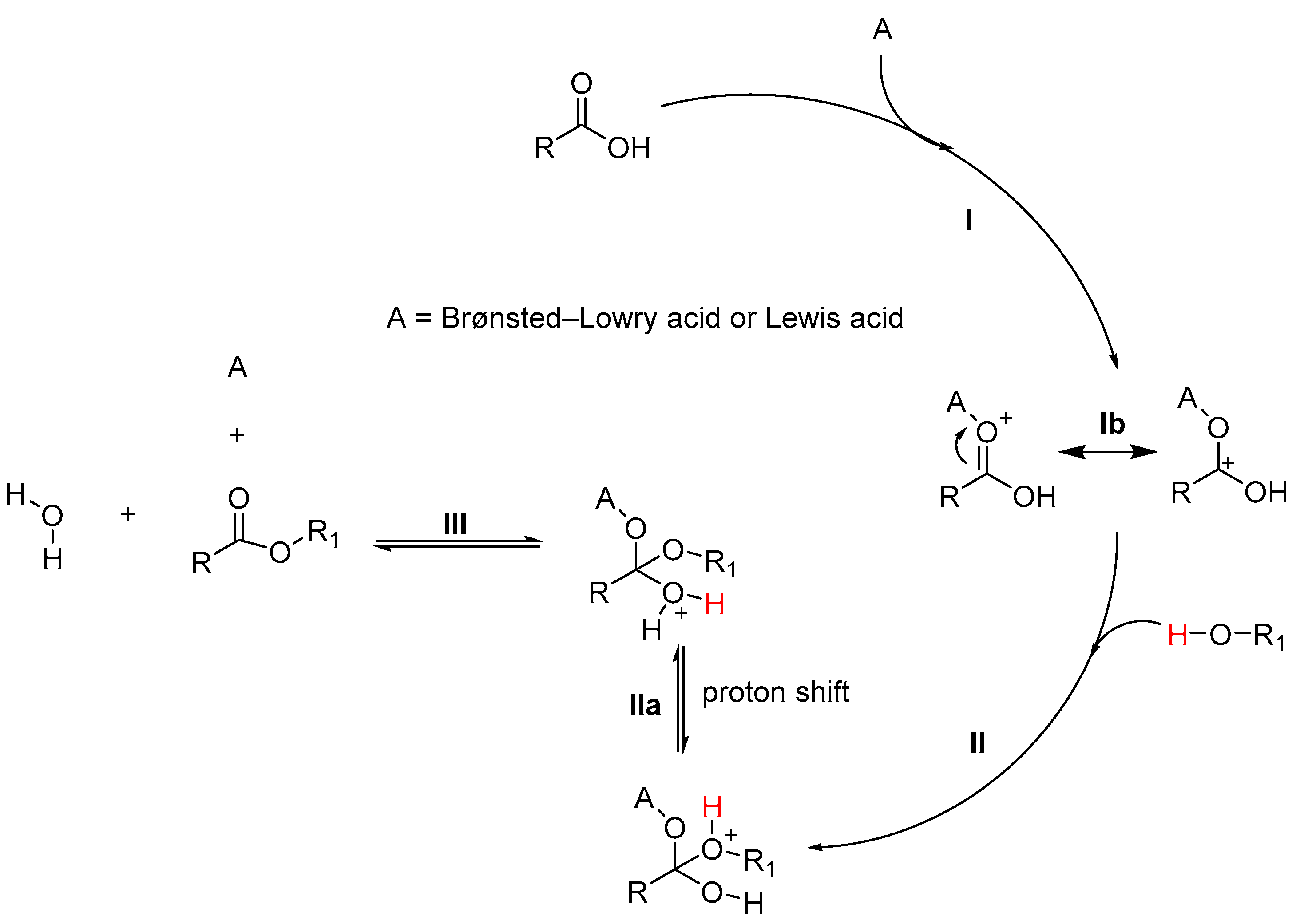 Catalysts 14 00931 g001