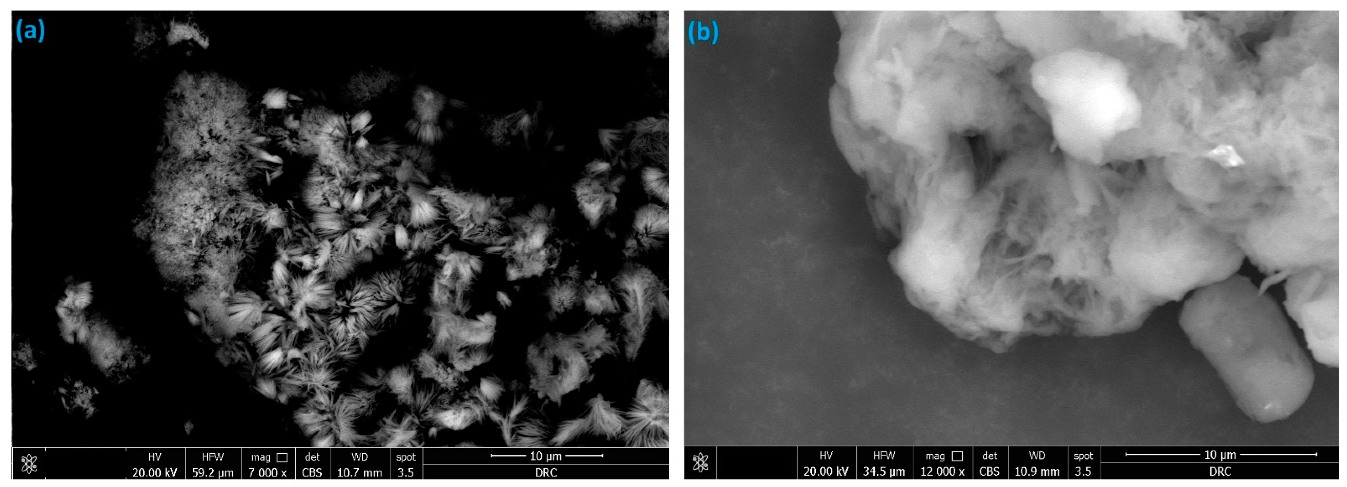 Catalysts 14 00934 g003 Catalysts 14 00934 g003