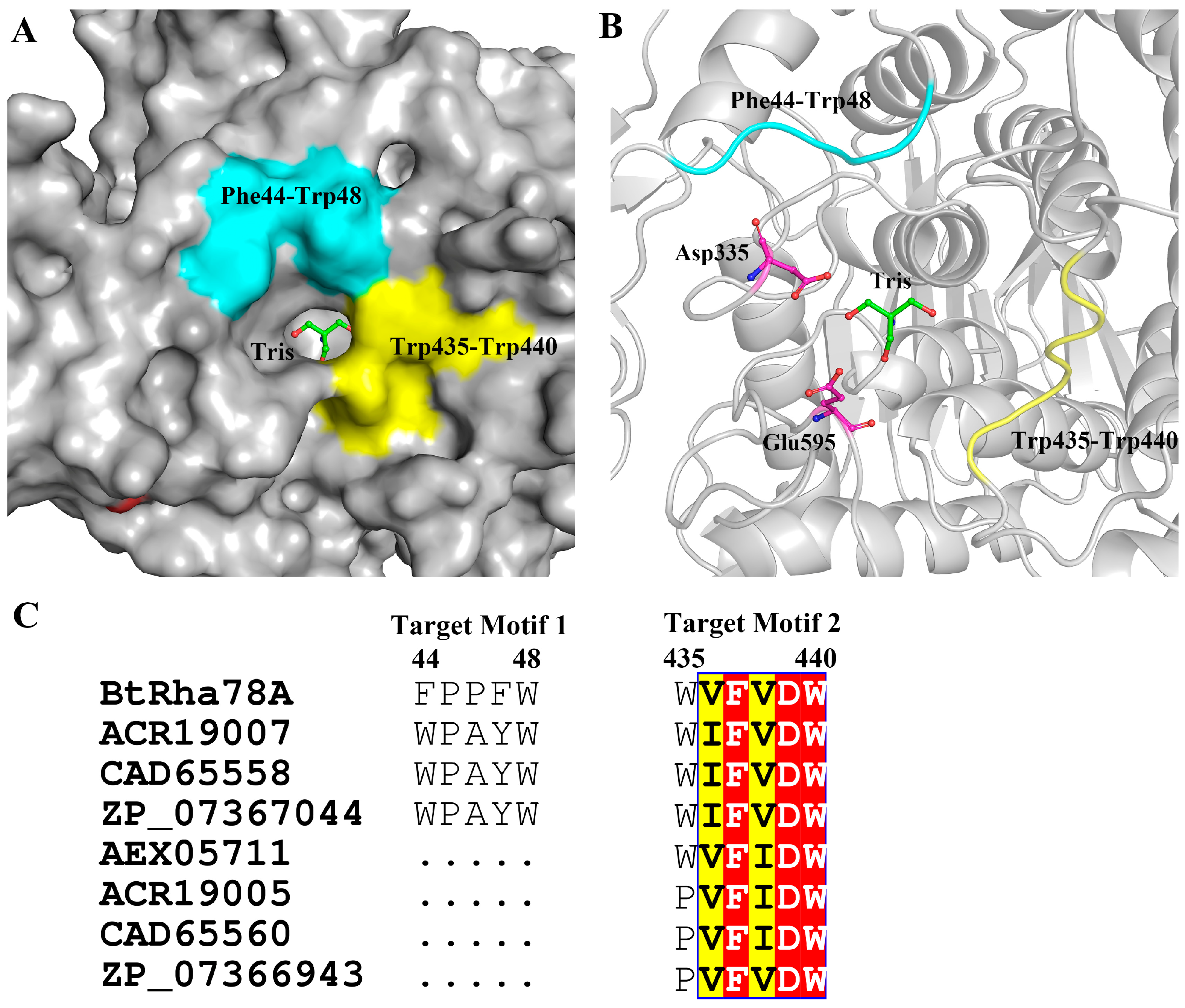Catalysts 14 00935 g003
