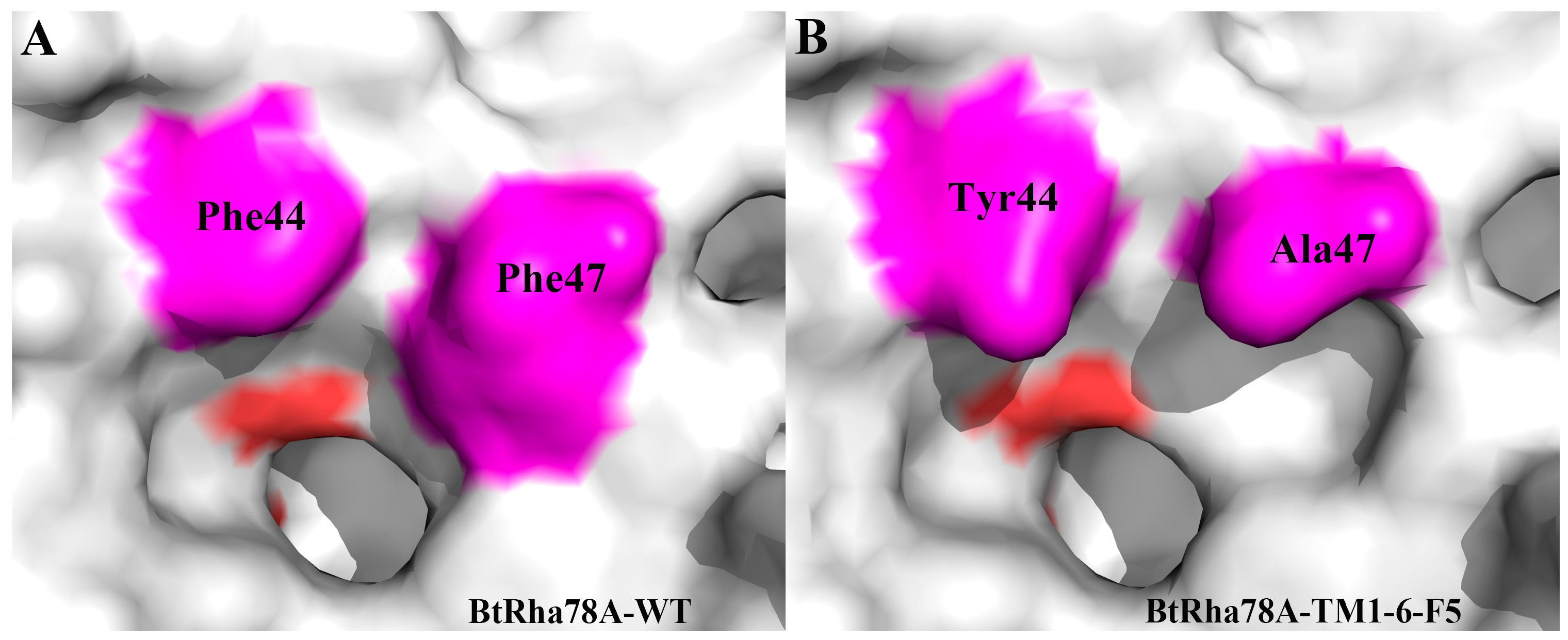 Catalysts 14 00935 g008