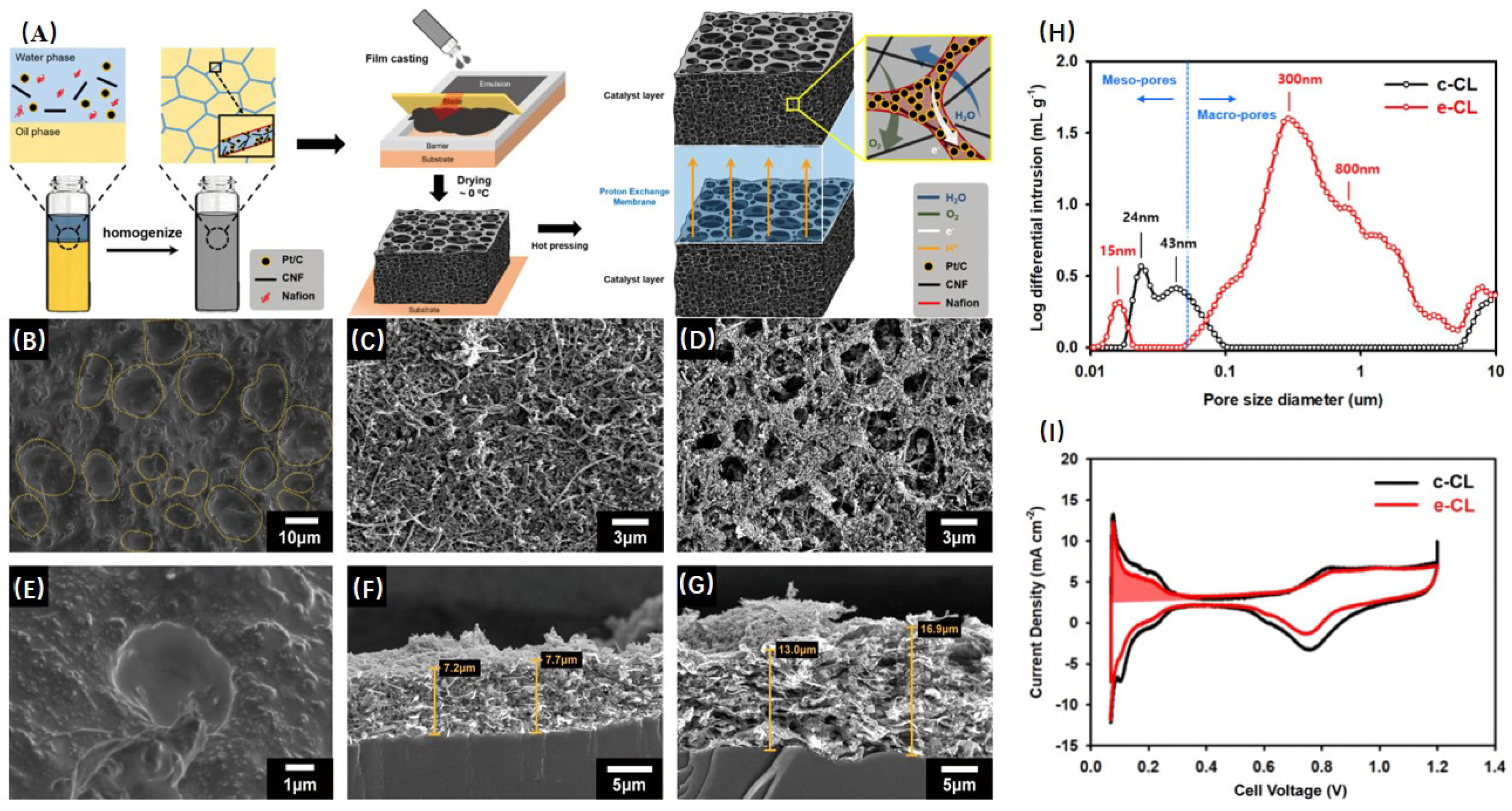 Catalysts 14 00936 g014