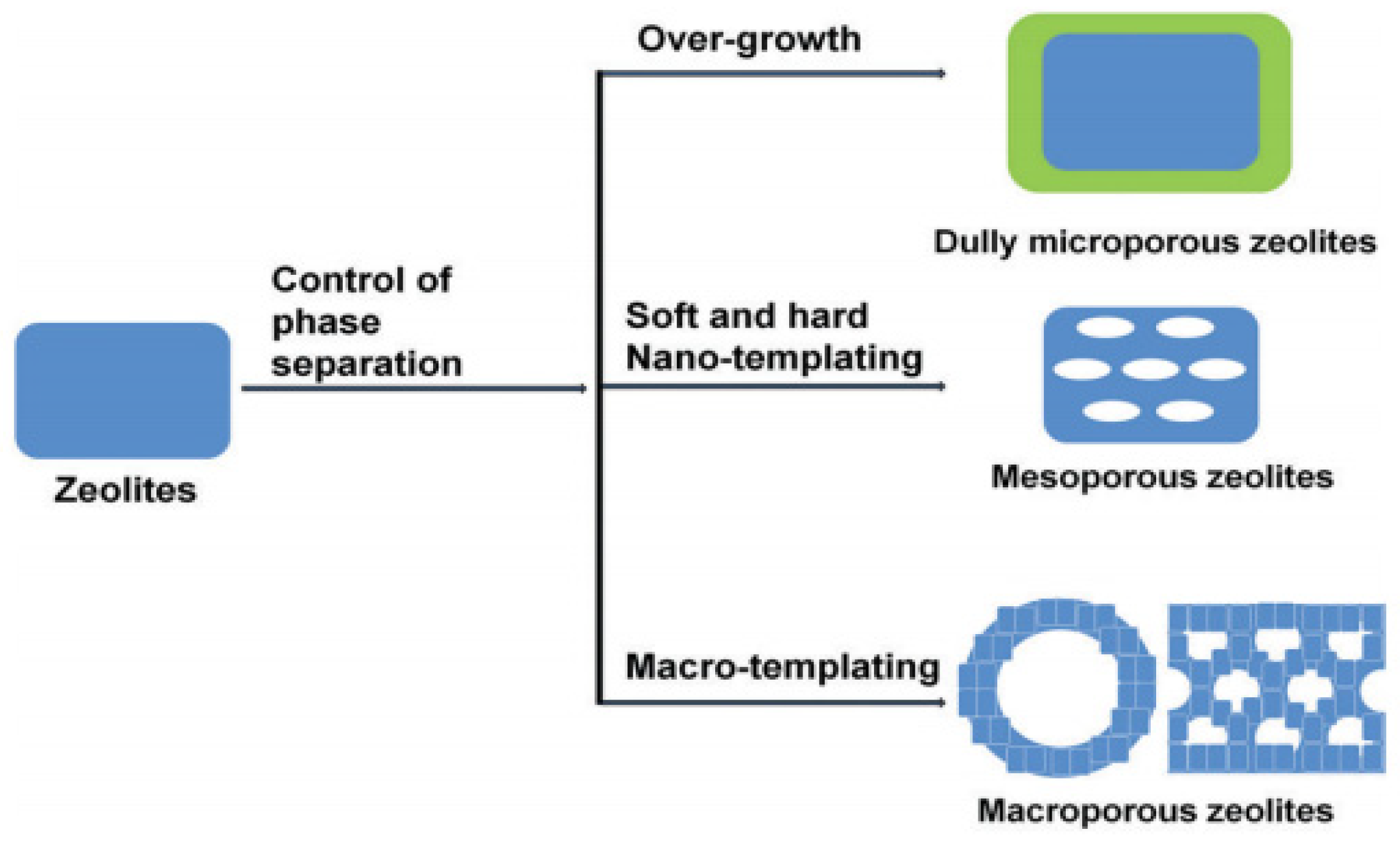 Catalysts 14 00936 g019