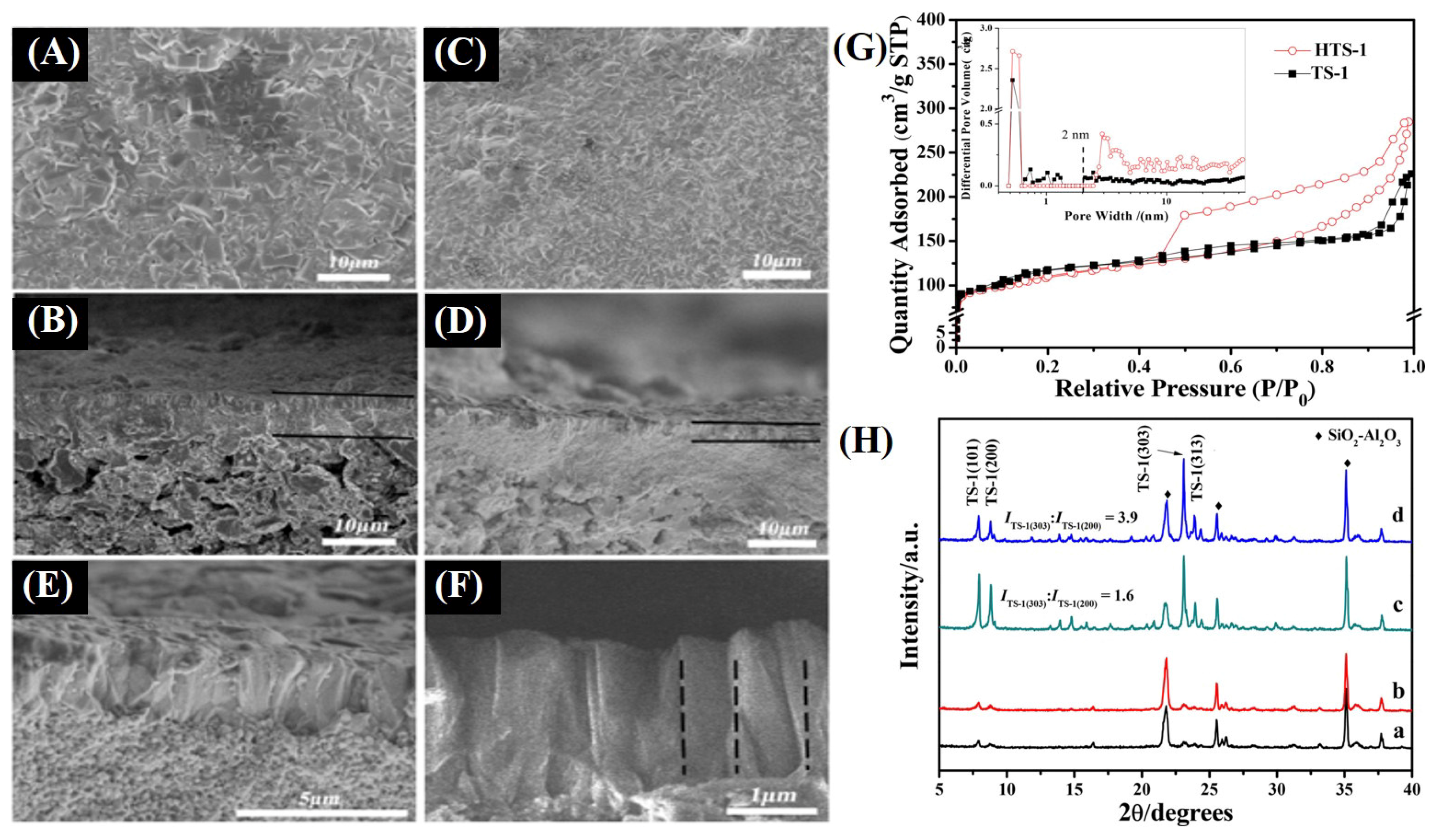 Catalysts 14 00936 g020