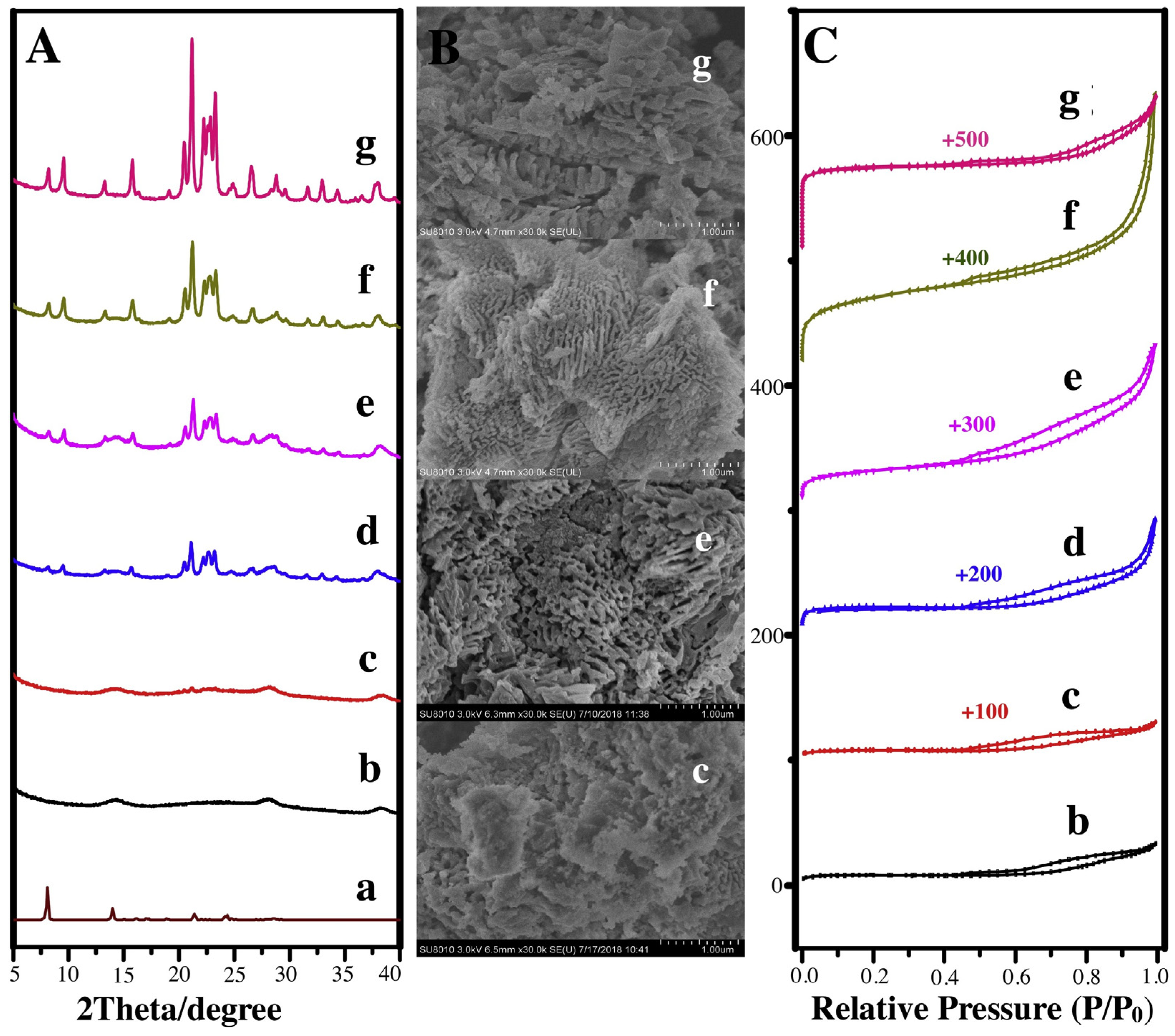 Catalysts 14 00936 g021
