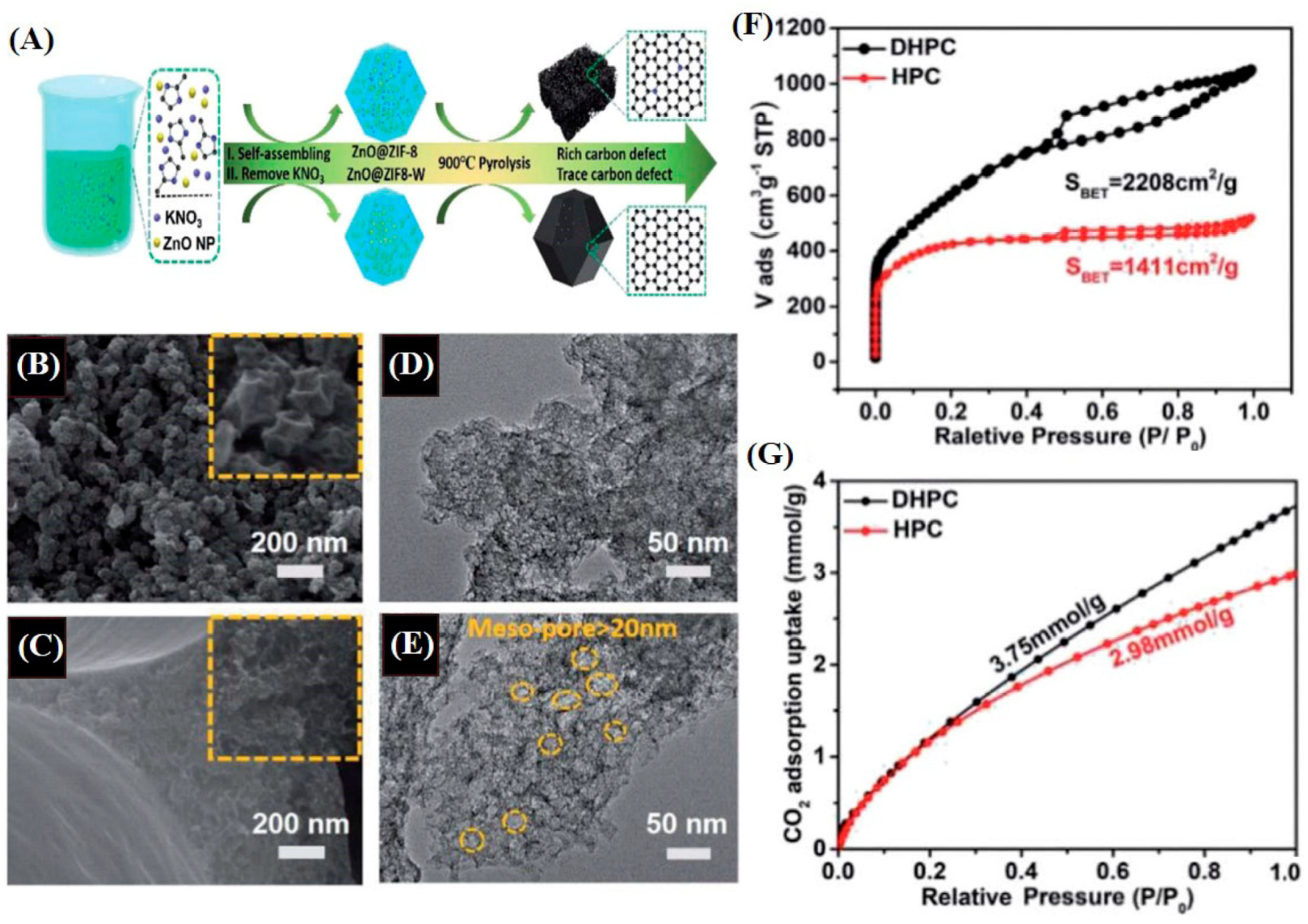 Catalysts 14 00936 g033