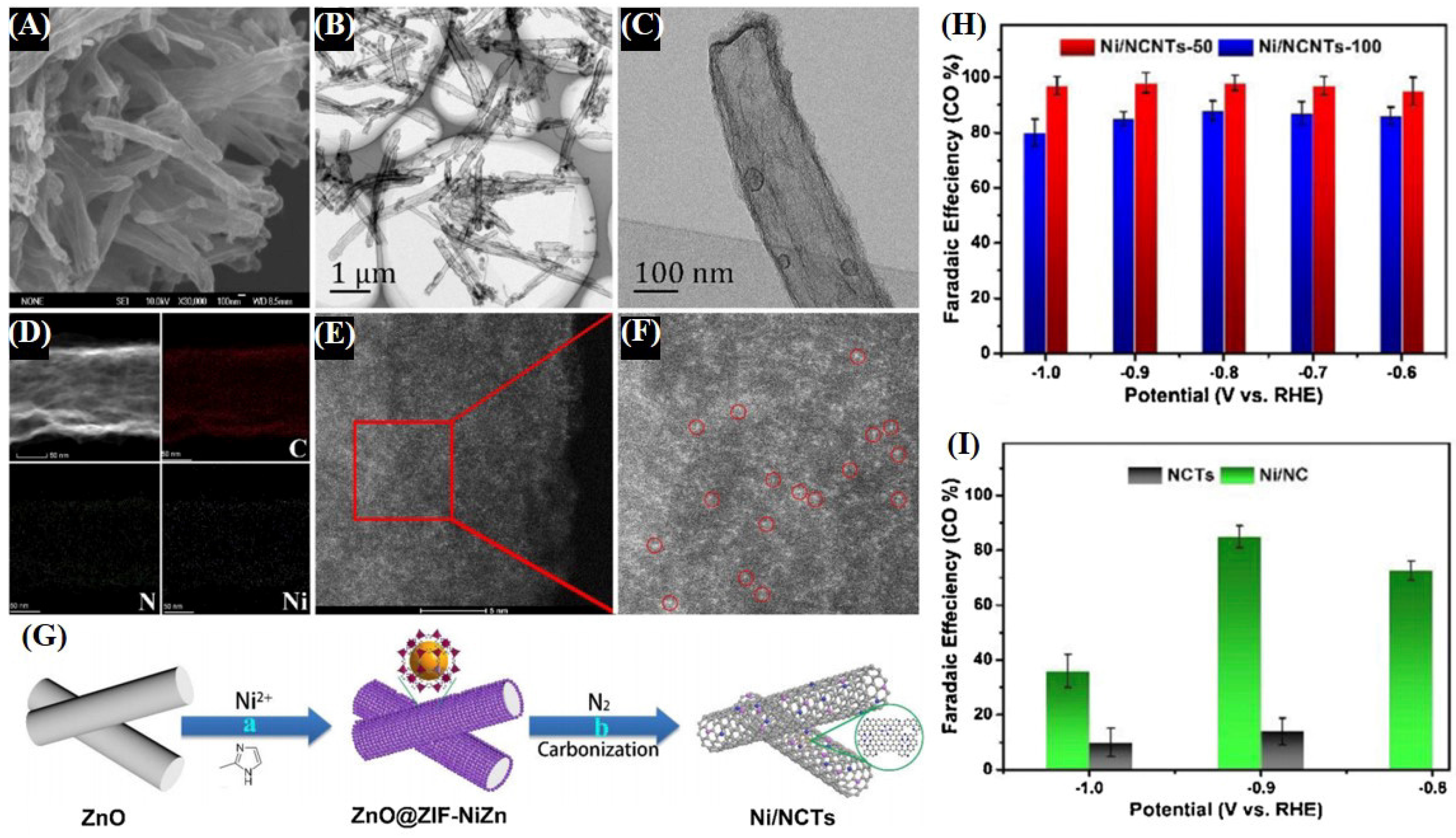 Catalysts 14 00936 g035