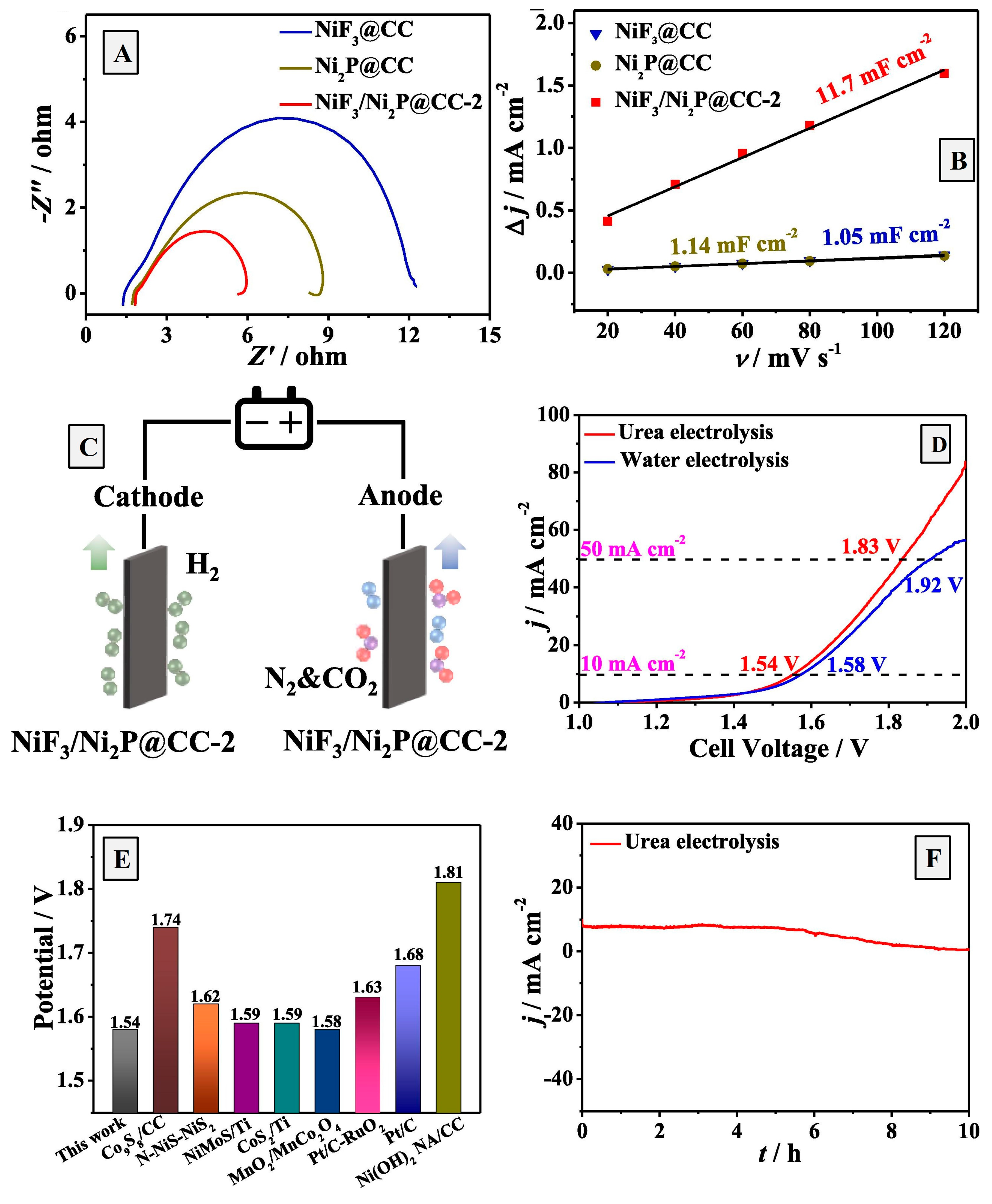 Catalysts 14 00937 g007