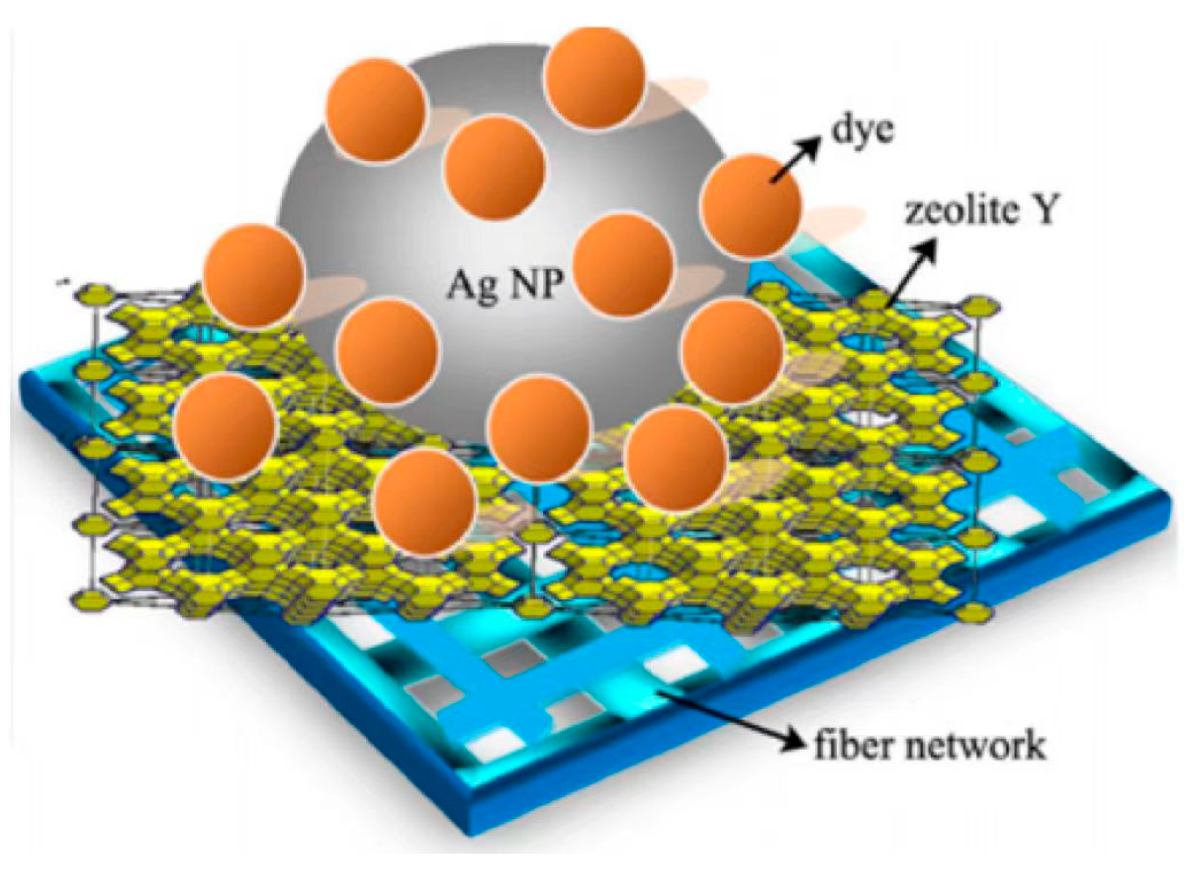 Catalysts 14 00938 g001