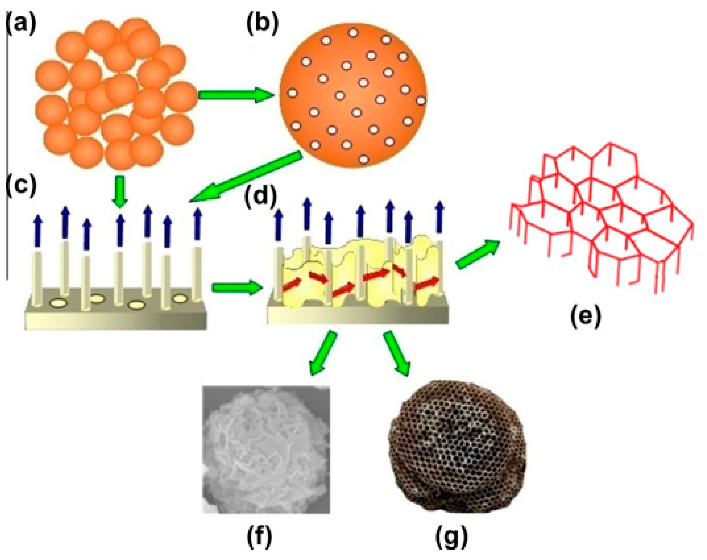 Catalysts 14 00938 g003