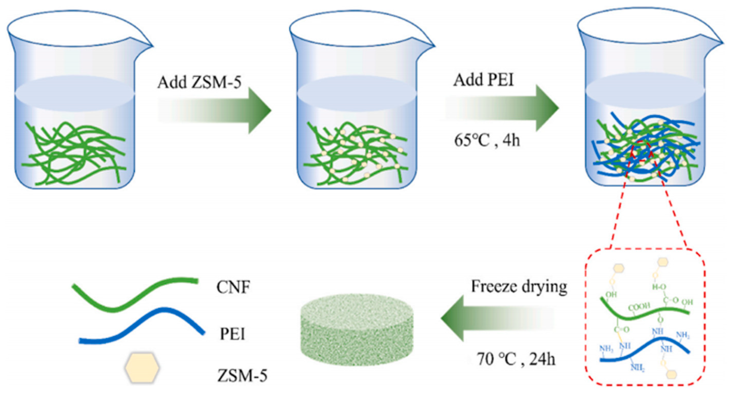 Catalysts 14 00938 g004