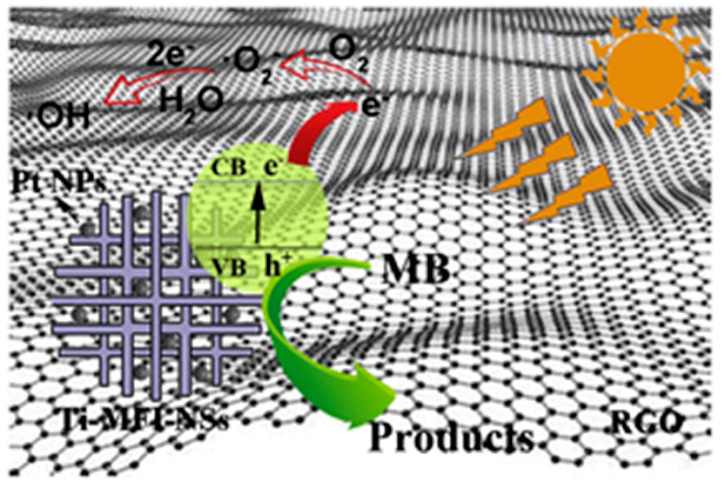 Catalysts 14 00938 g005