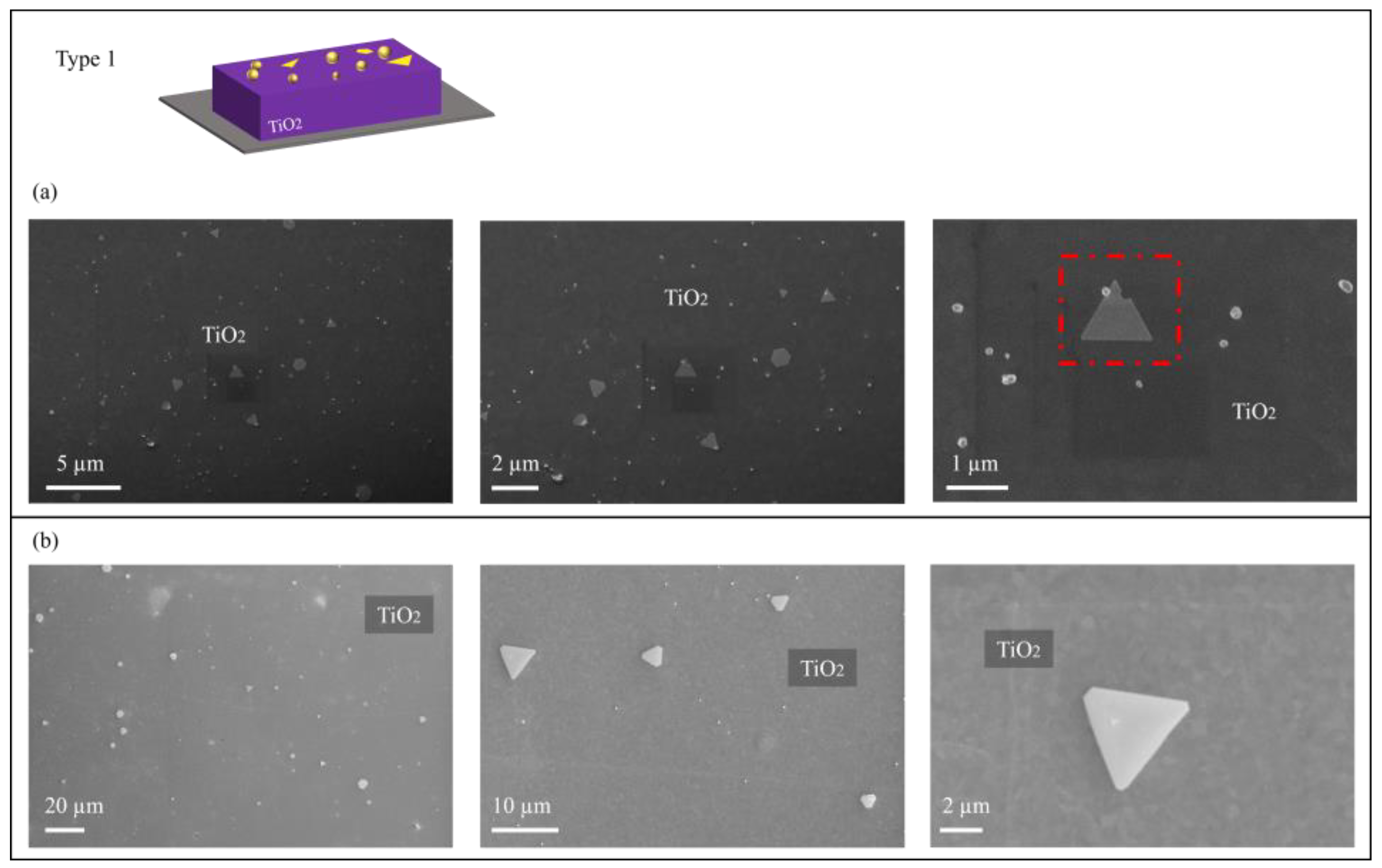 Catalysts 14 00940 g002