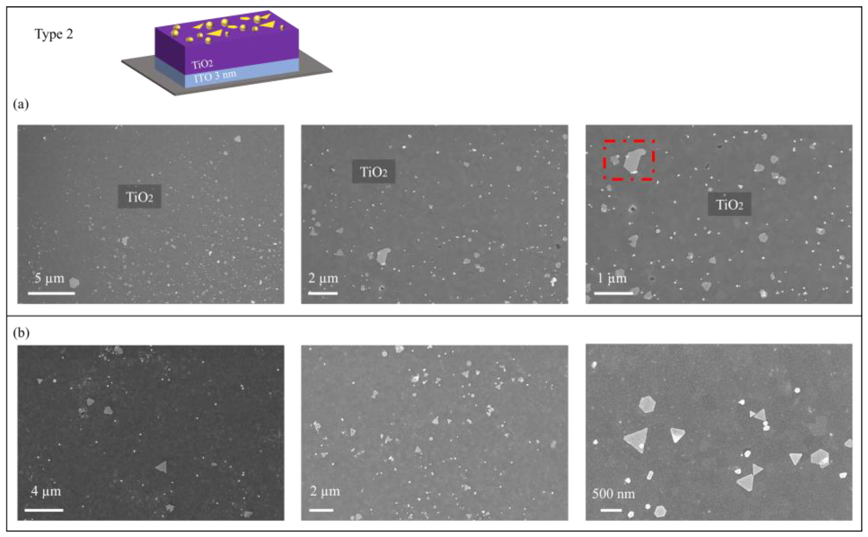 Catalysts 14 00940 g003