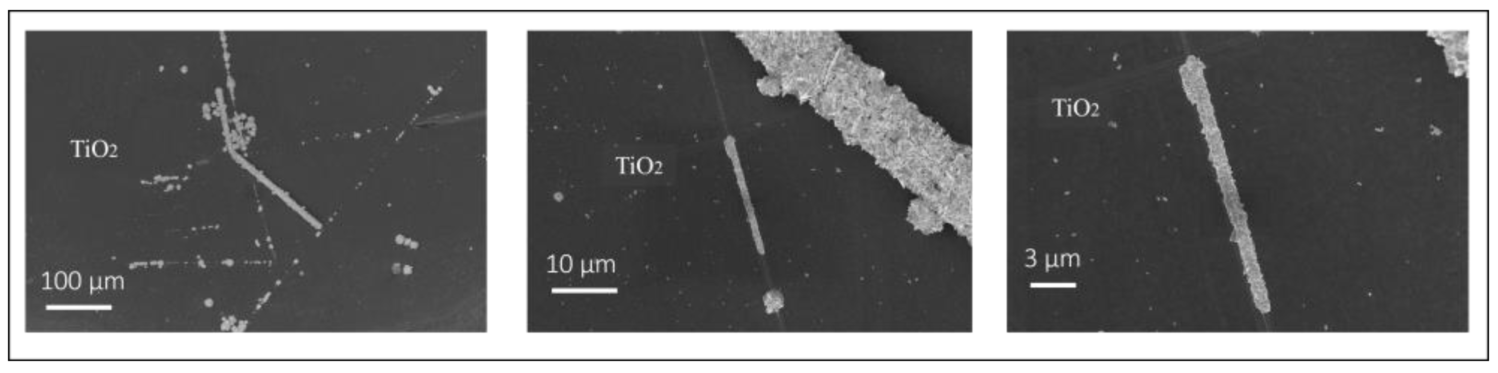 Catalysts 14 00940 g005