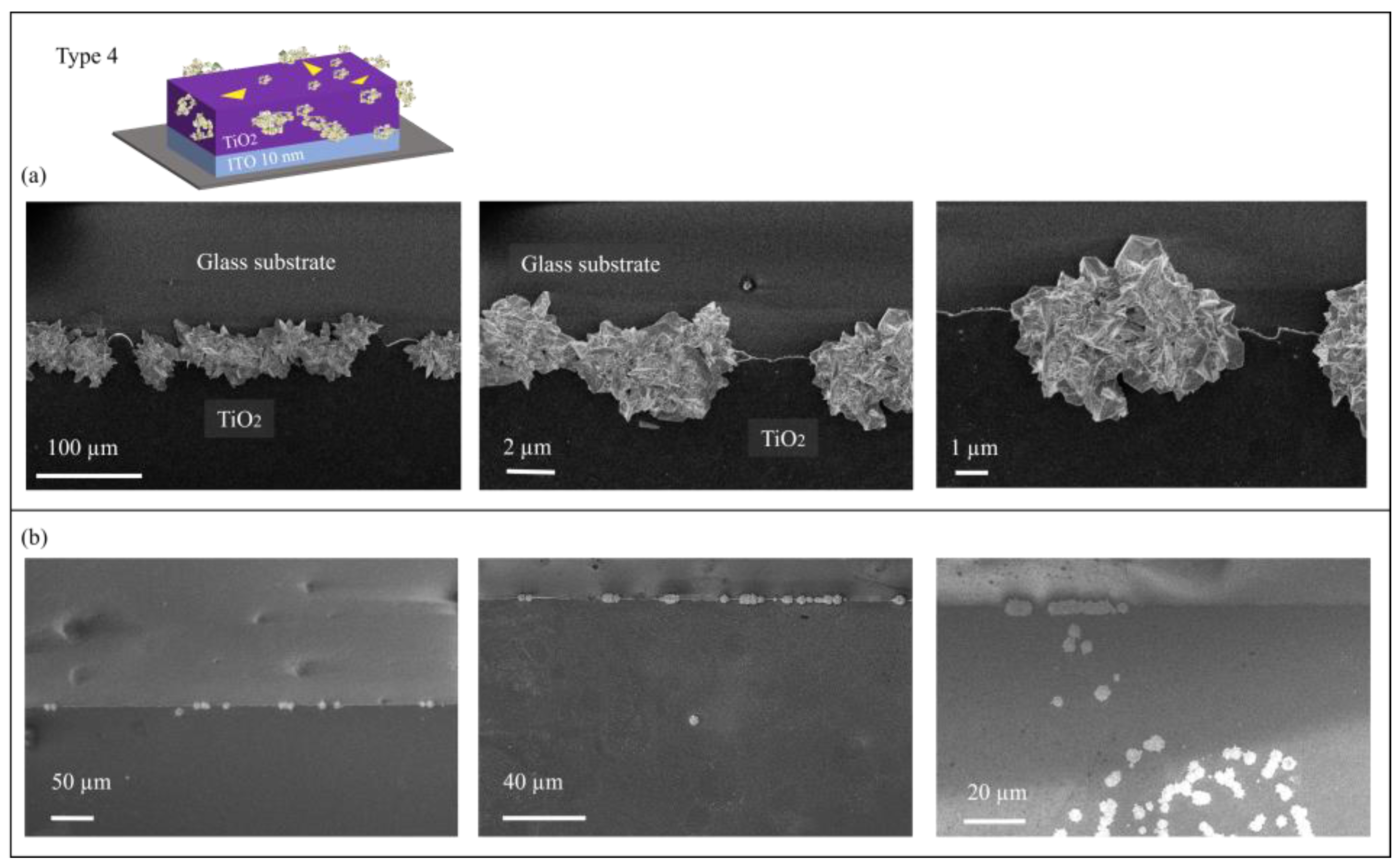 Catalysts 14 00940 g006