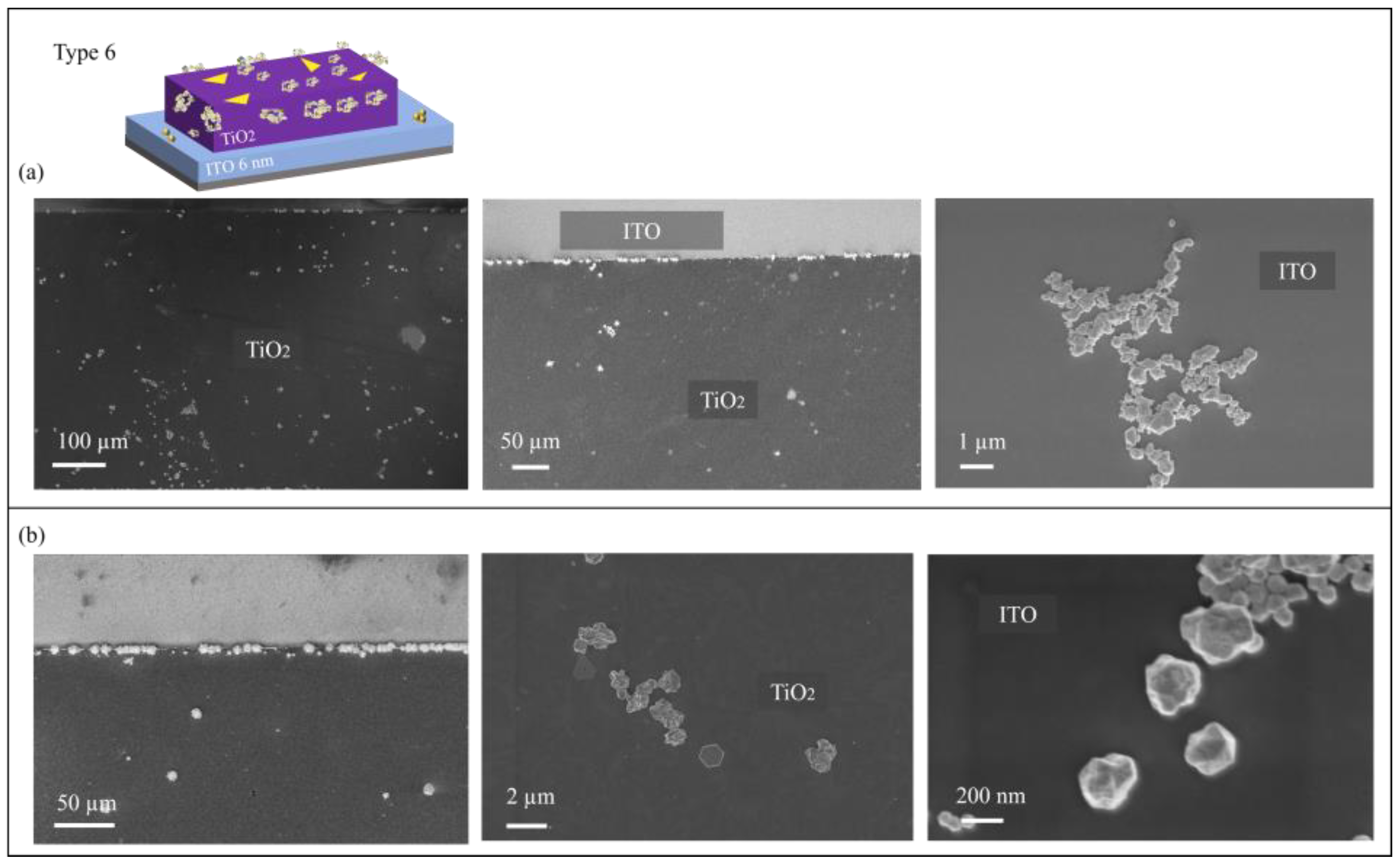Catalysts 14 00940 g008