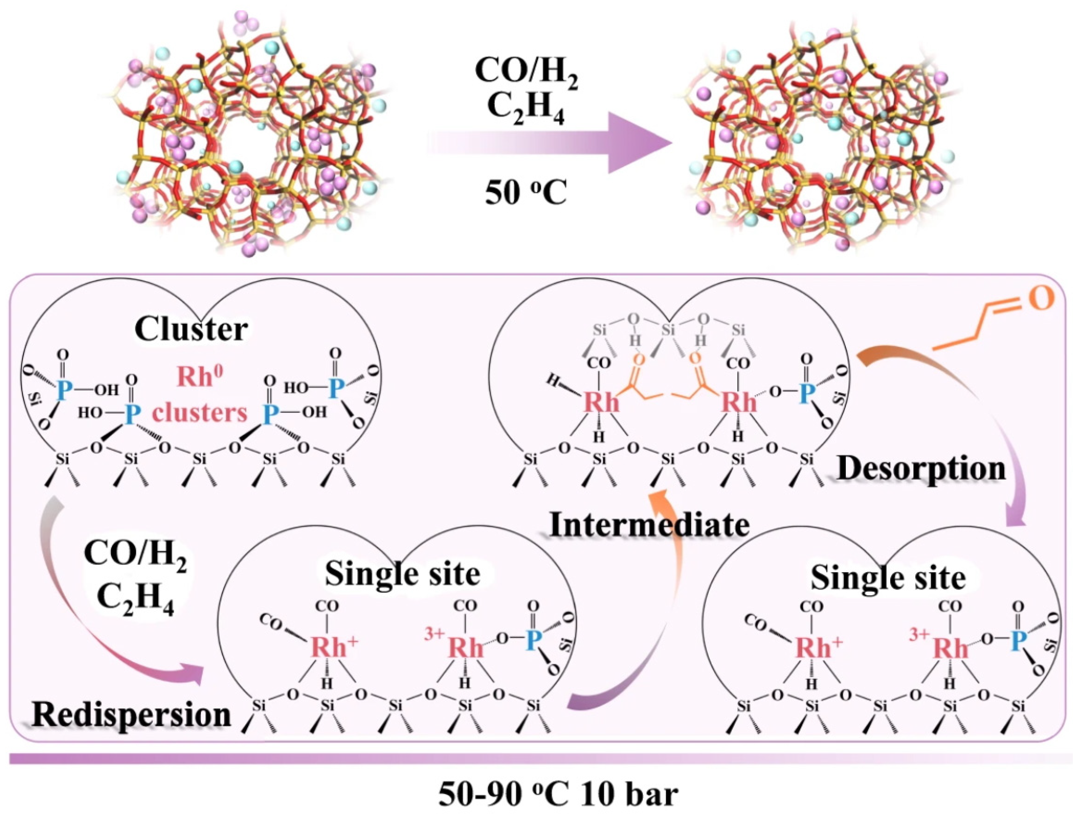 Catalysts 14 00942 g004