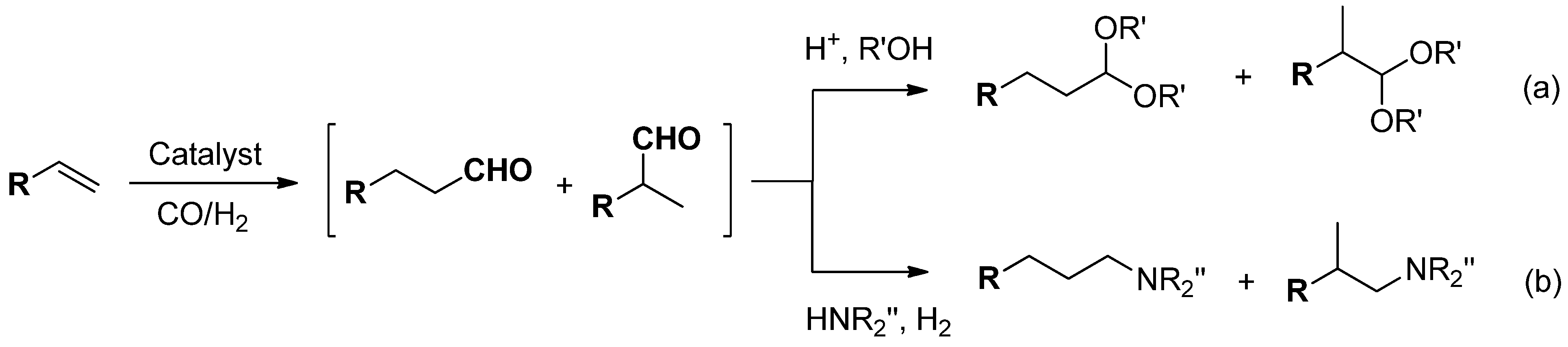 Catalysts 14 00942 g009