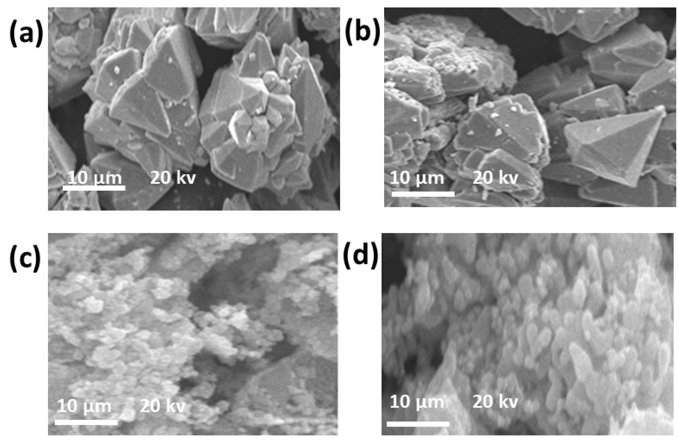 Catalysts 14 00946 g004