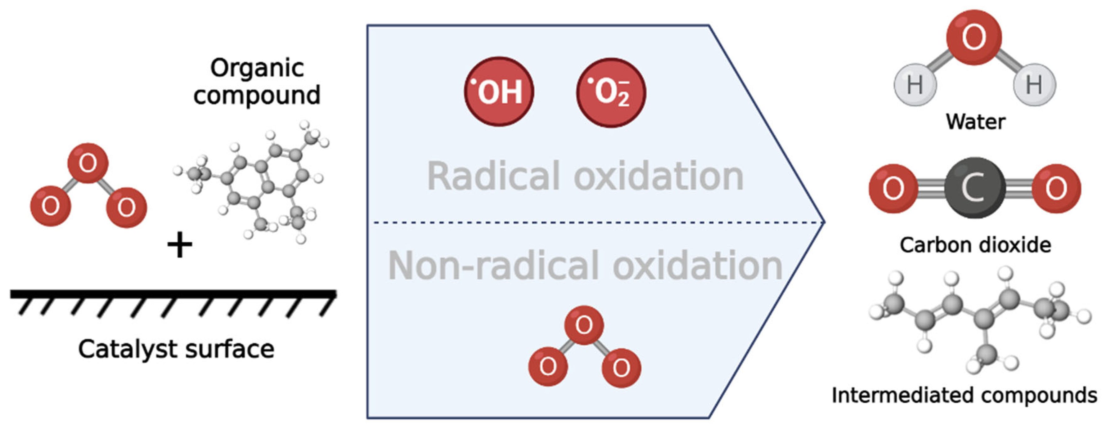 Catalysts 14 00947 g002